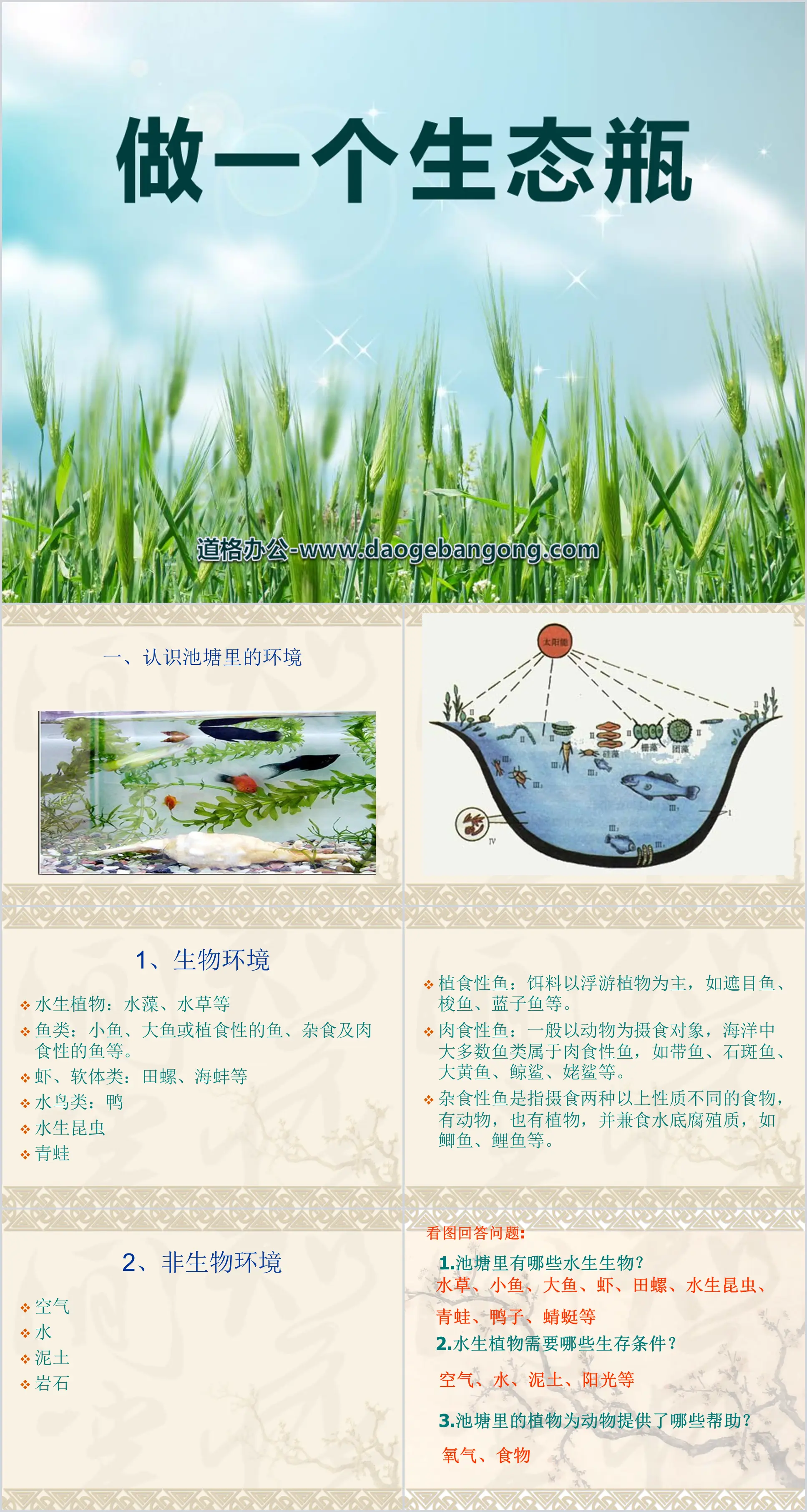 《做一个生态瓶》生物与环境PPT课件
