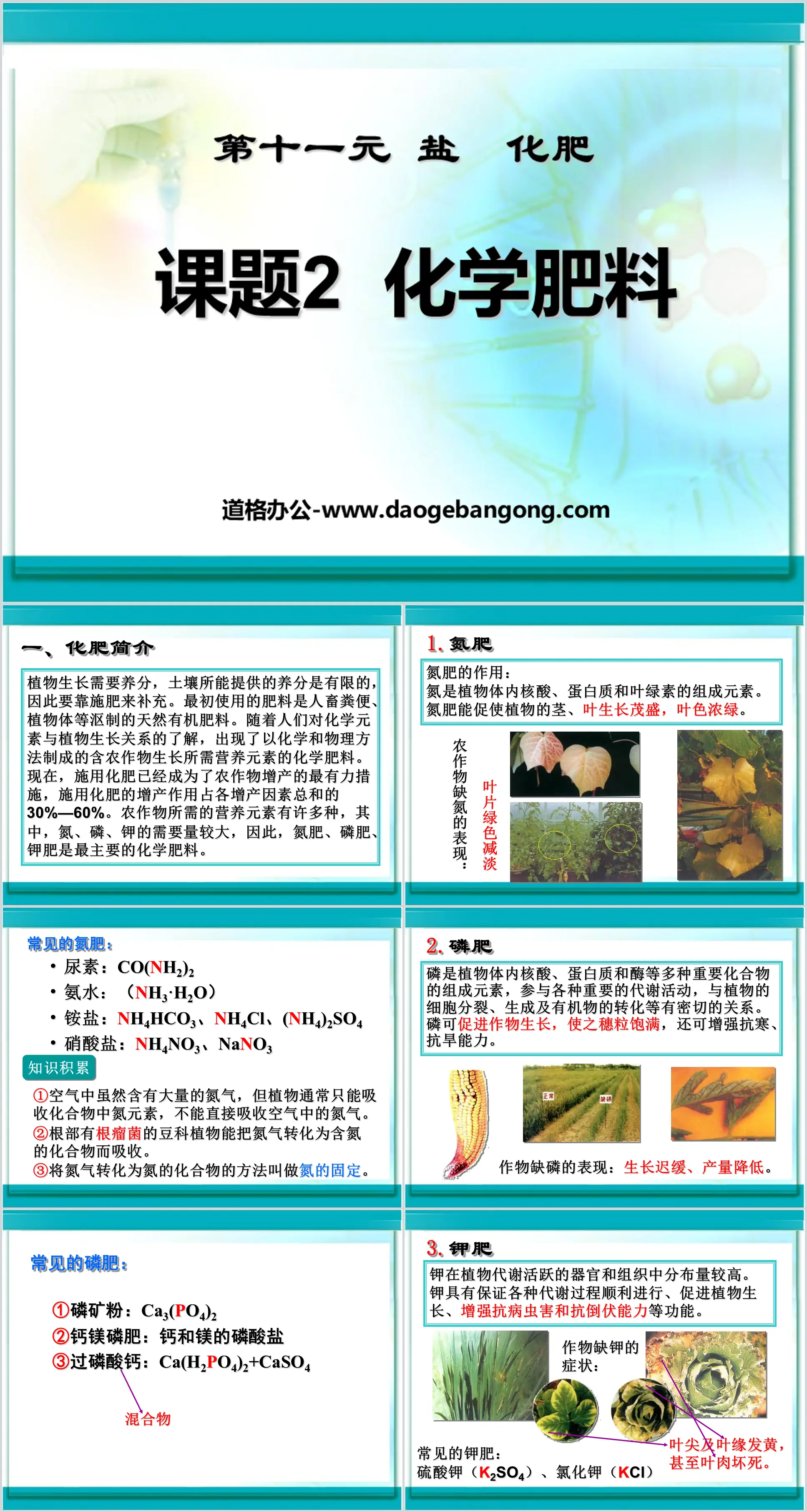 《化学肥料》盐化肥PPT课件3
