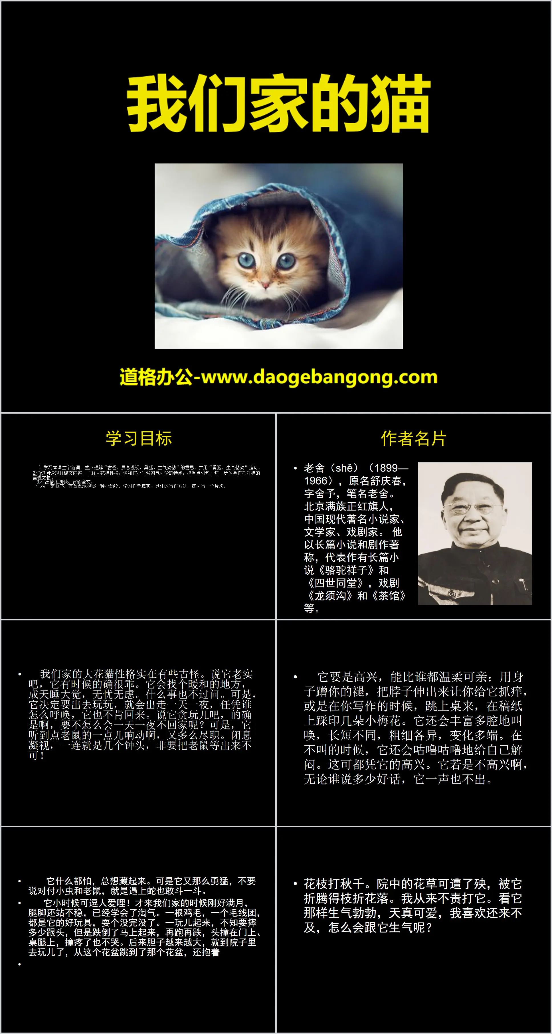 "Our Cat" PPT Courseware 5