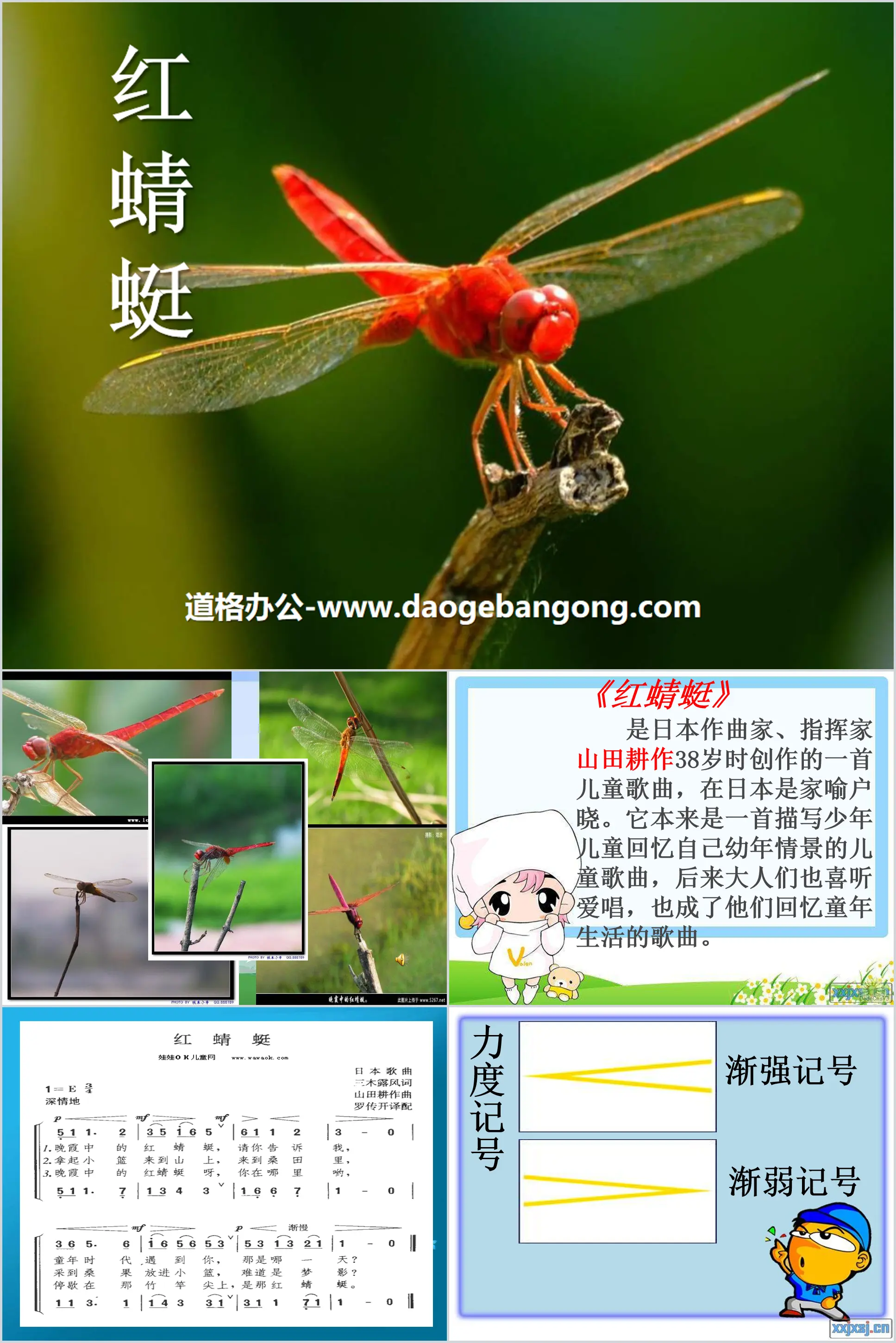 "Red Dragonfly" PPT courseware