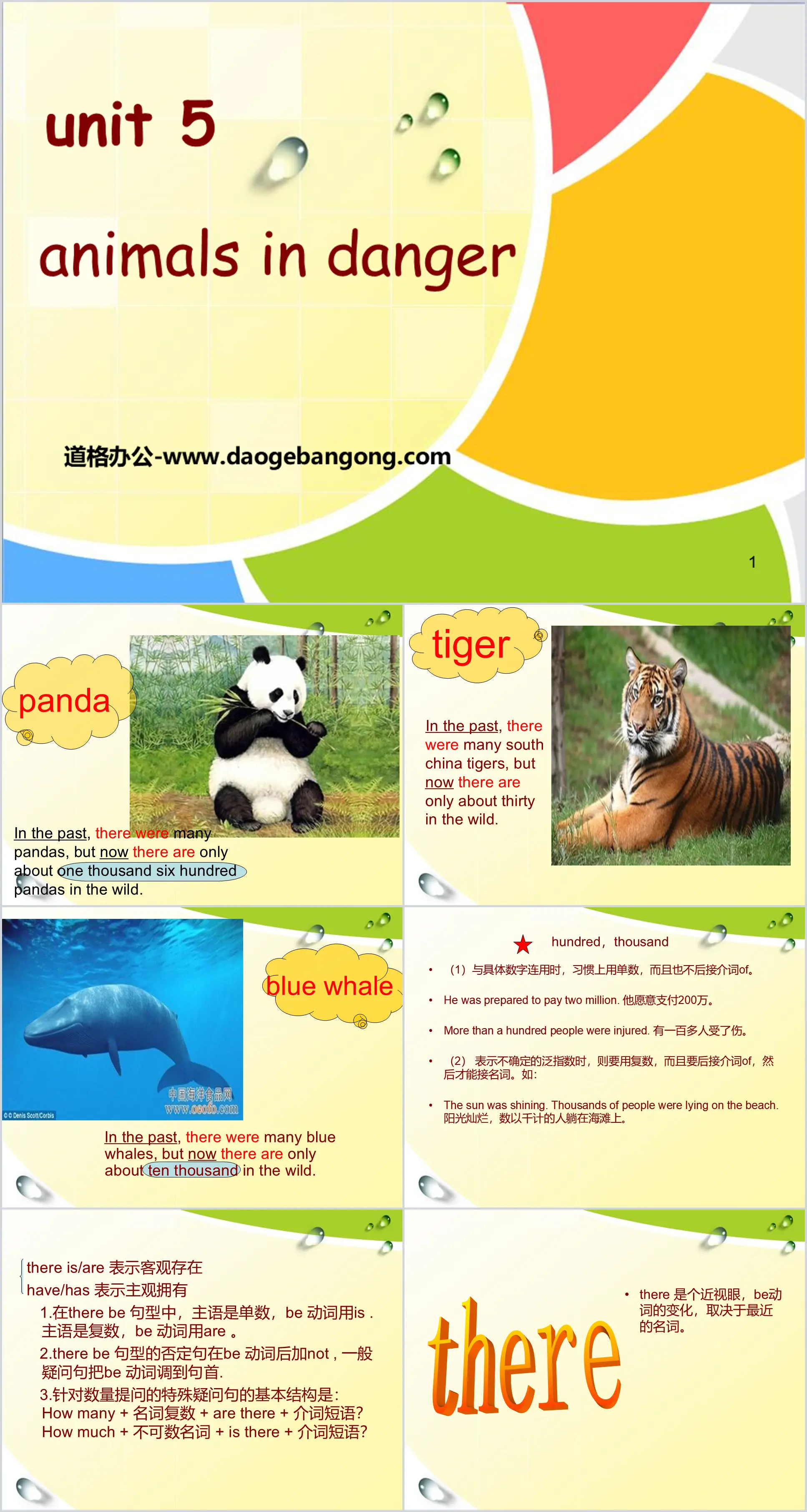 "Animals in danger" PPT download