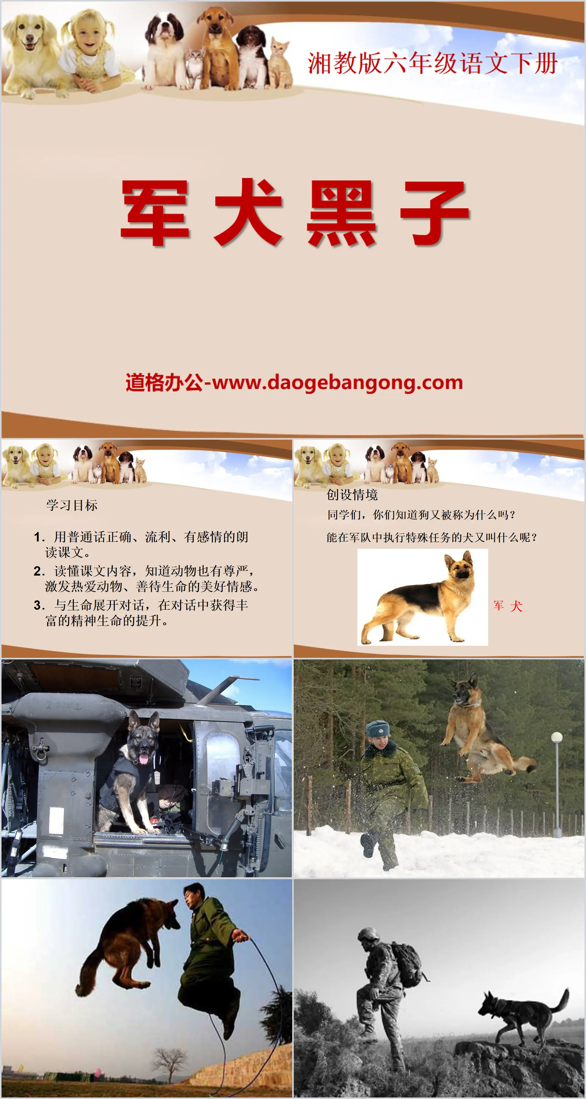 《军犬黑子》PPT课件2
