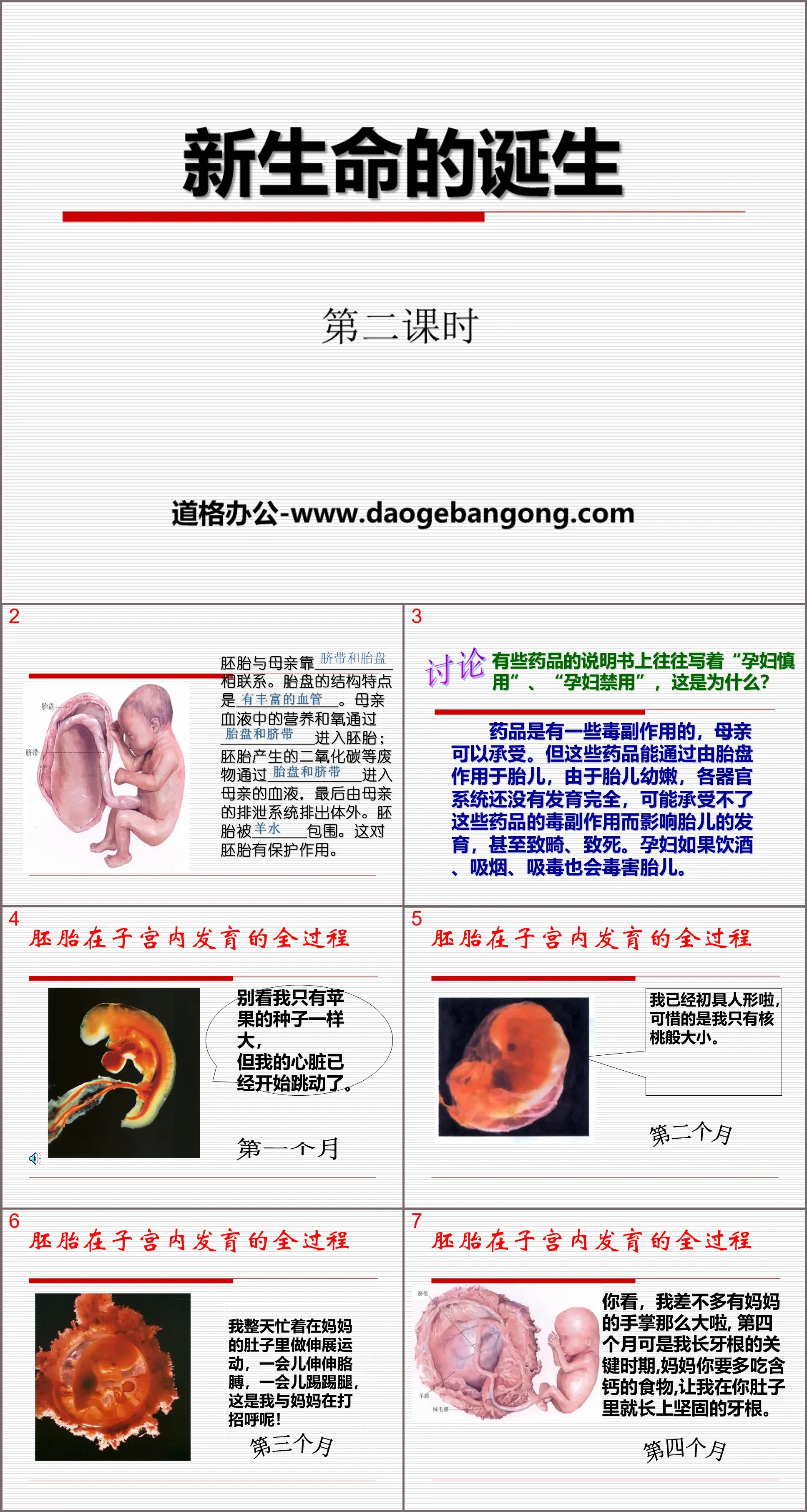 《新生命的诞生》PPT(第二课时)