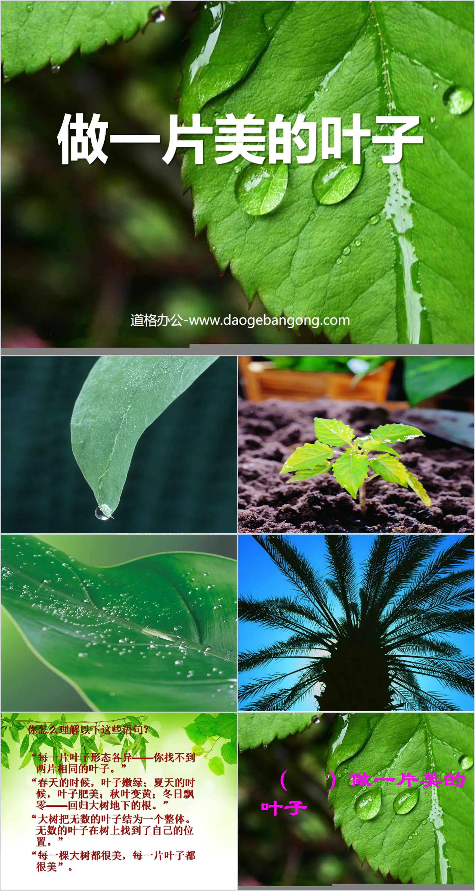 "Making a Beautiful Leaf" PPT Courseware 2