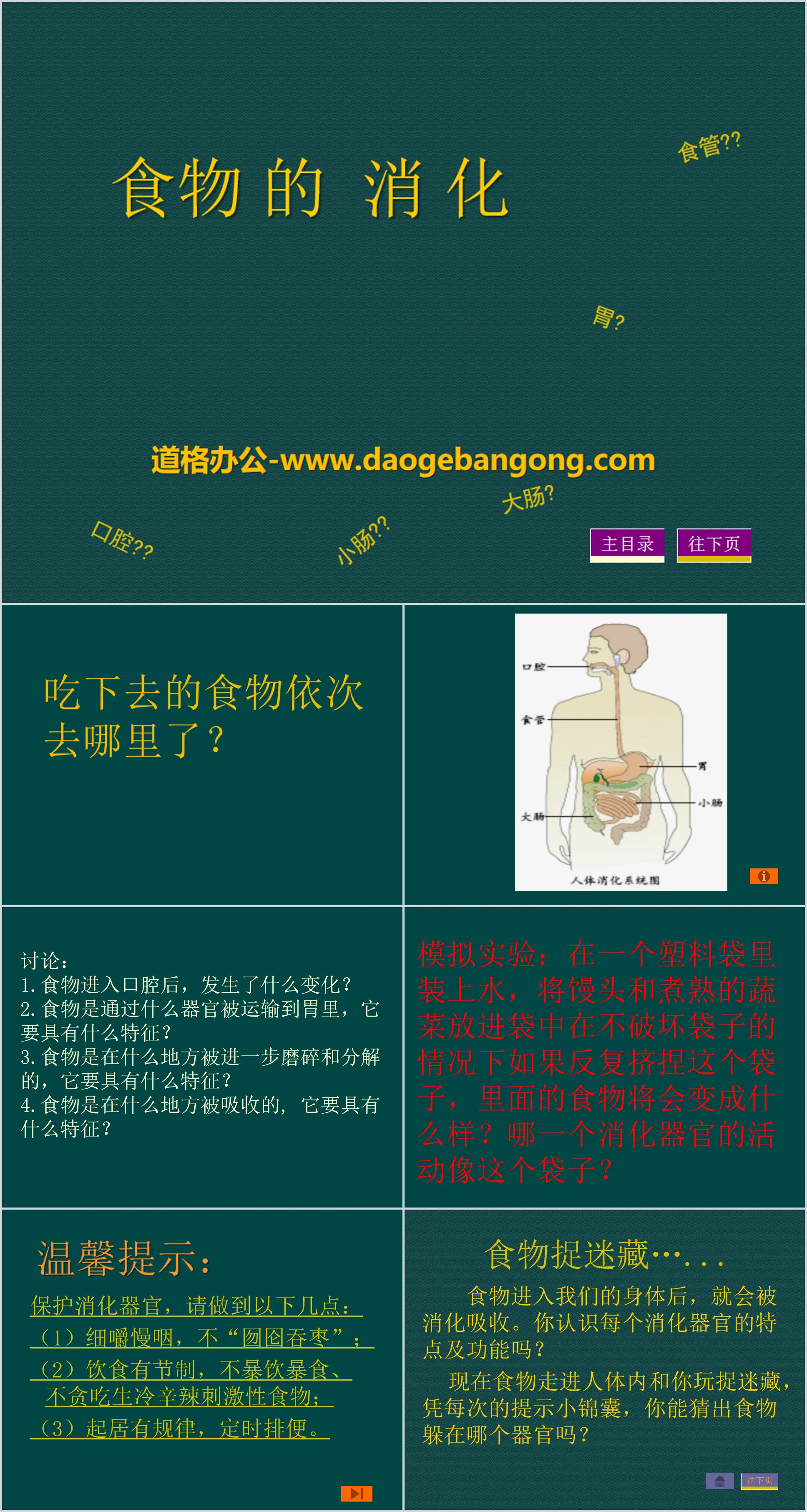 《食物的消化》生活中的食物PPT课件
