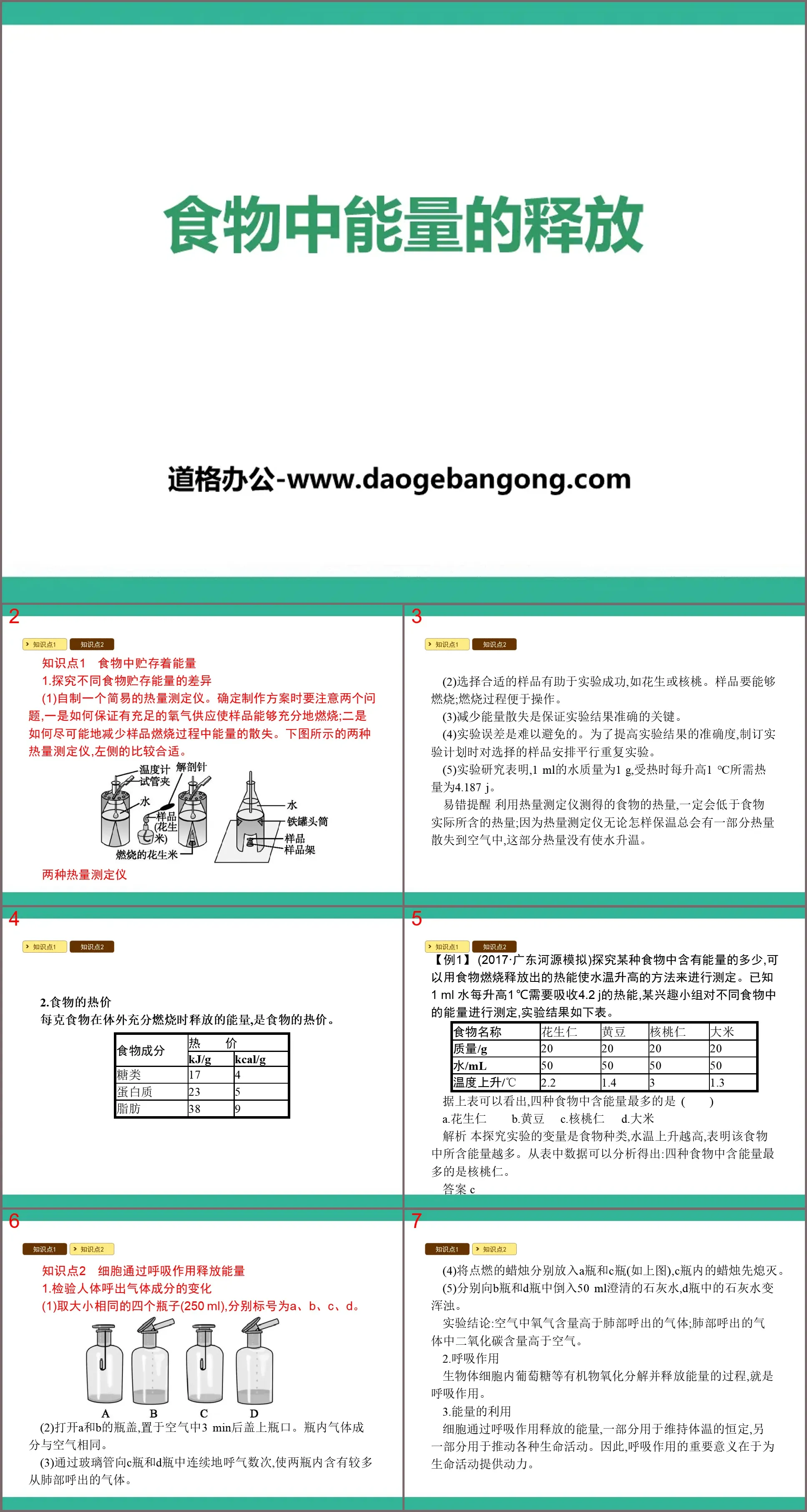 《食物中能量的釋放》PPT課程下載