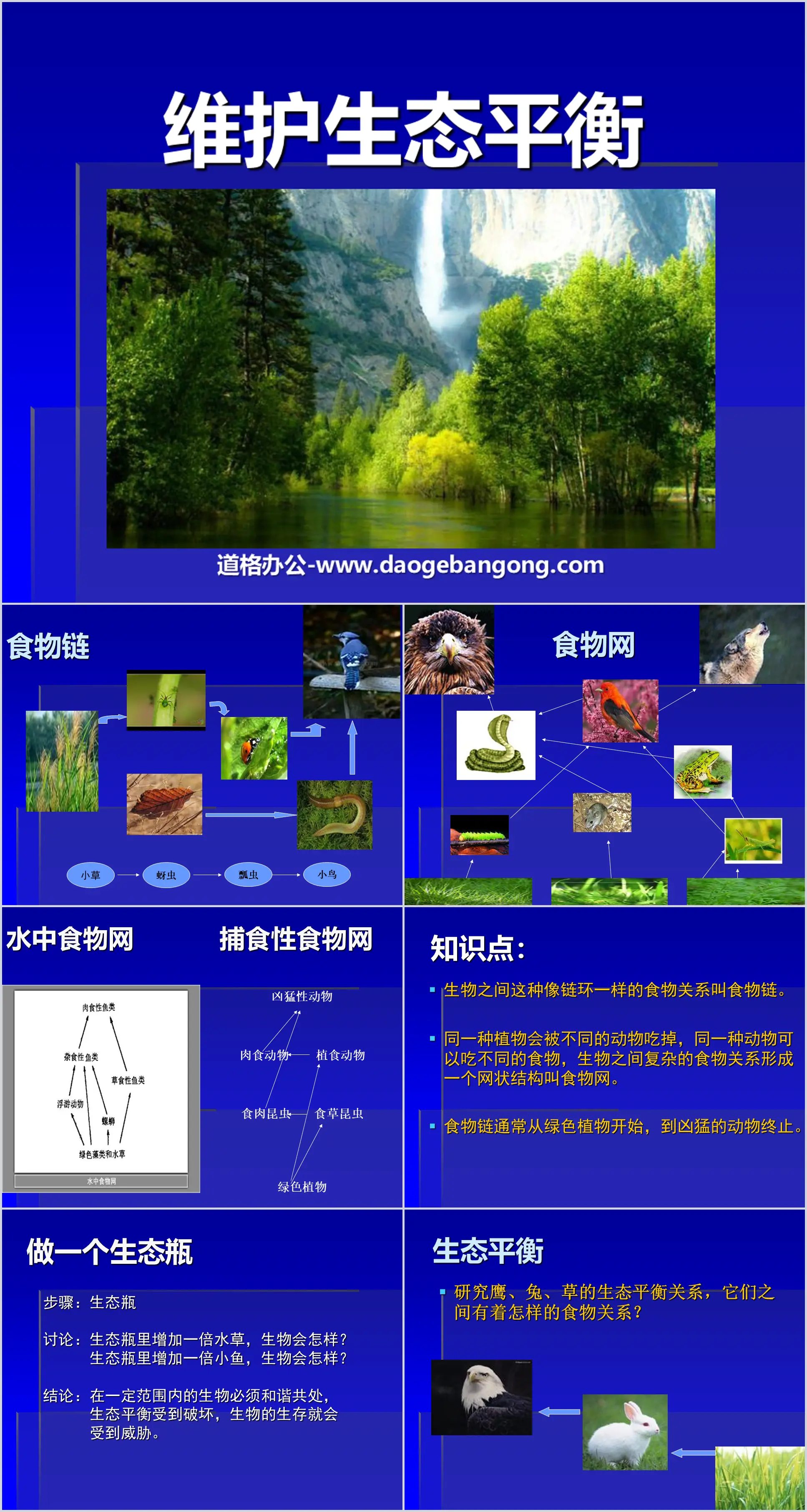 《維護生態平衡》生物與環境PPT主題4