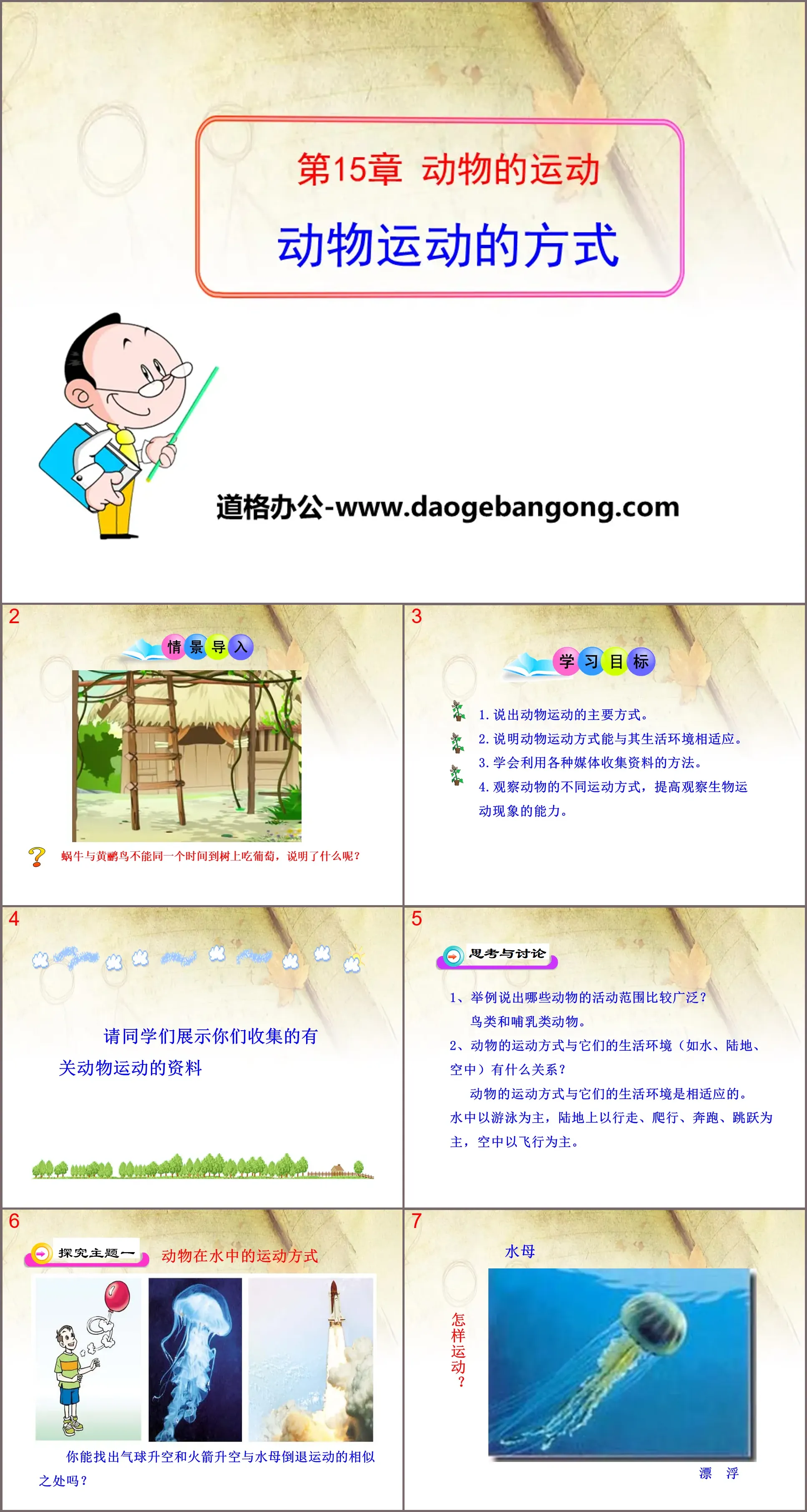 《动物运动的方式》PPT