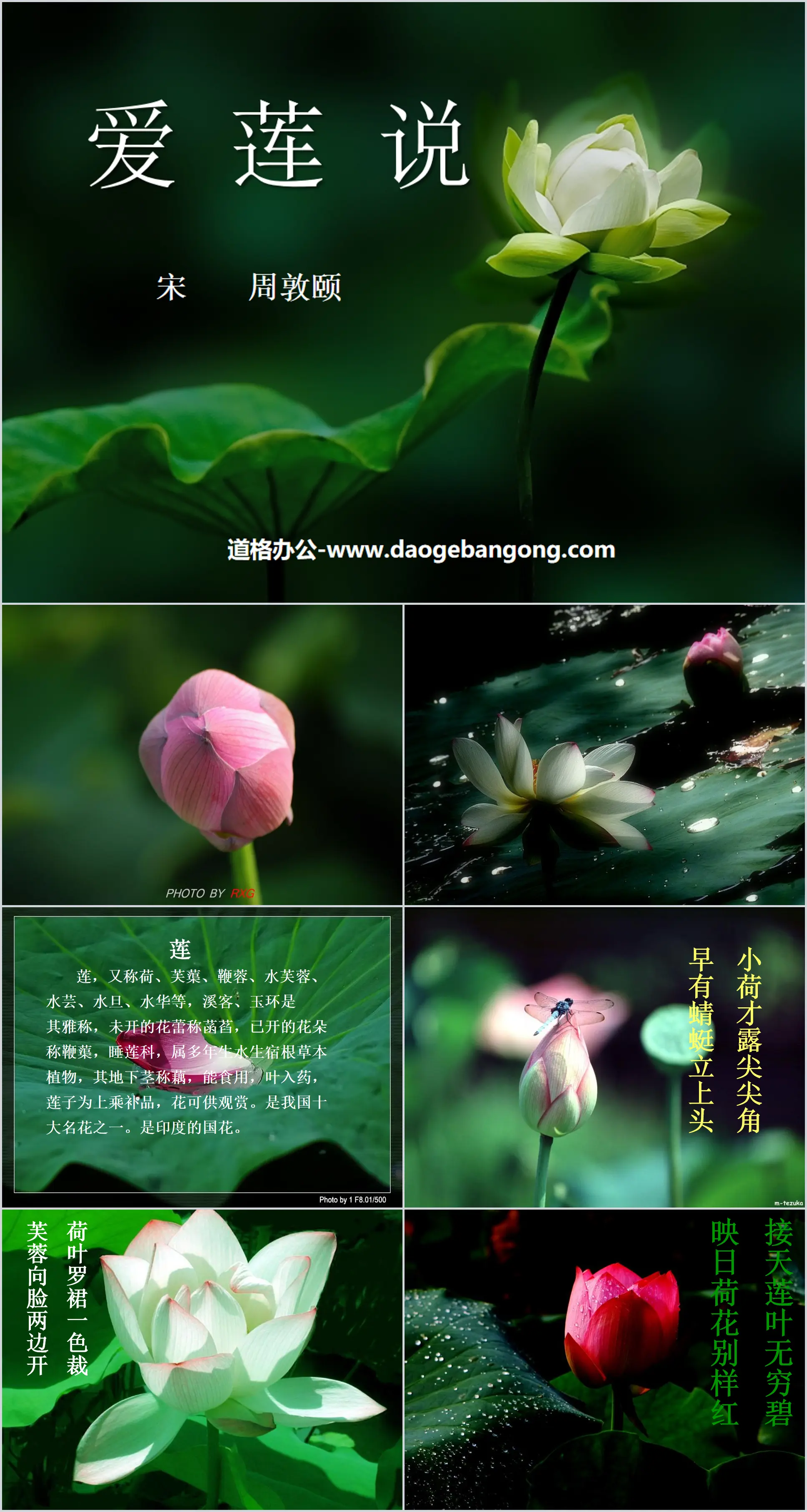 Didacticiel PPT « Love Lotus » 6