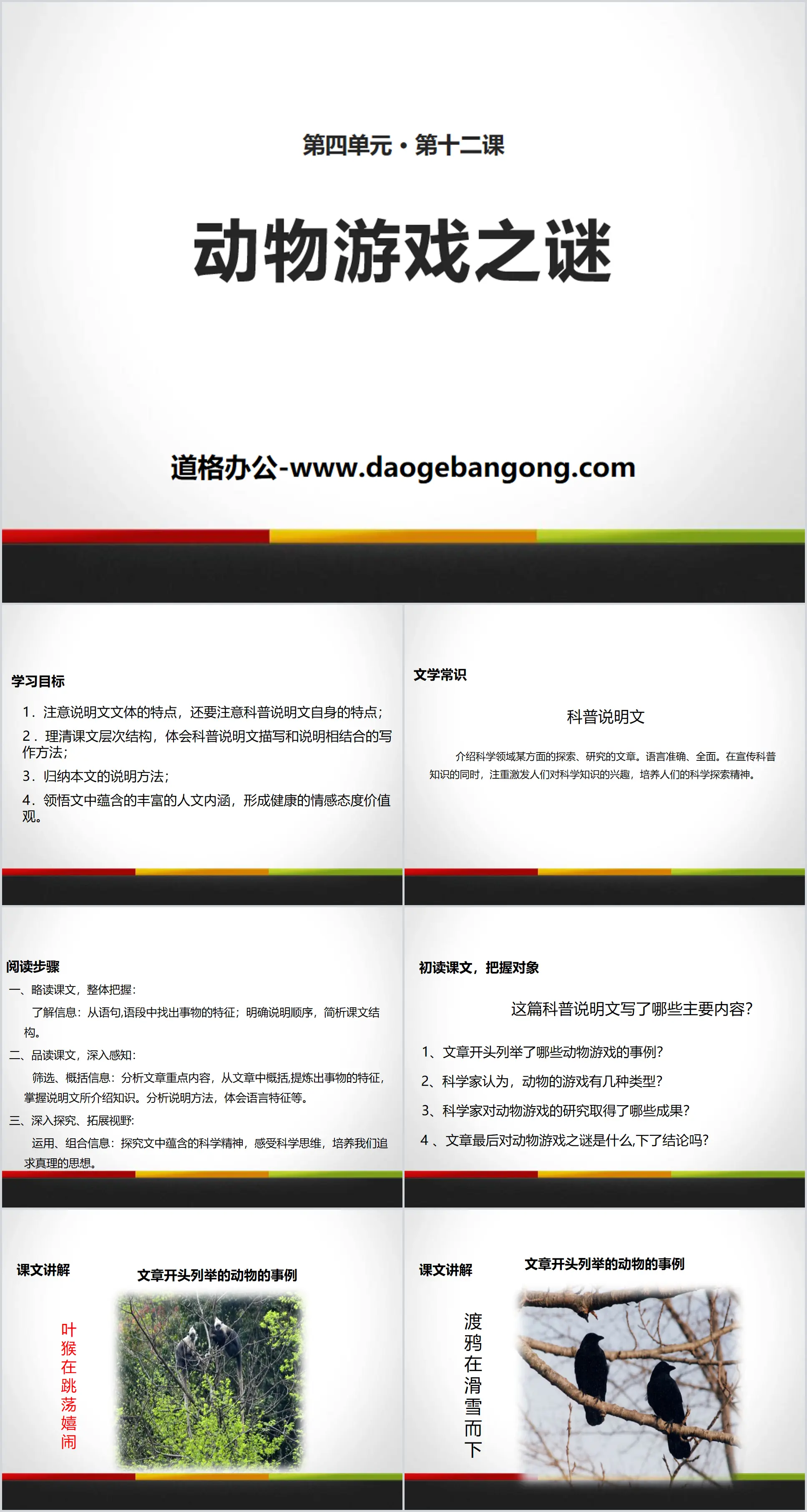 《动物游戏之谜》PPT
