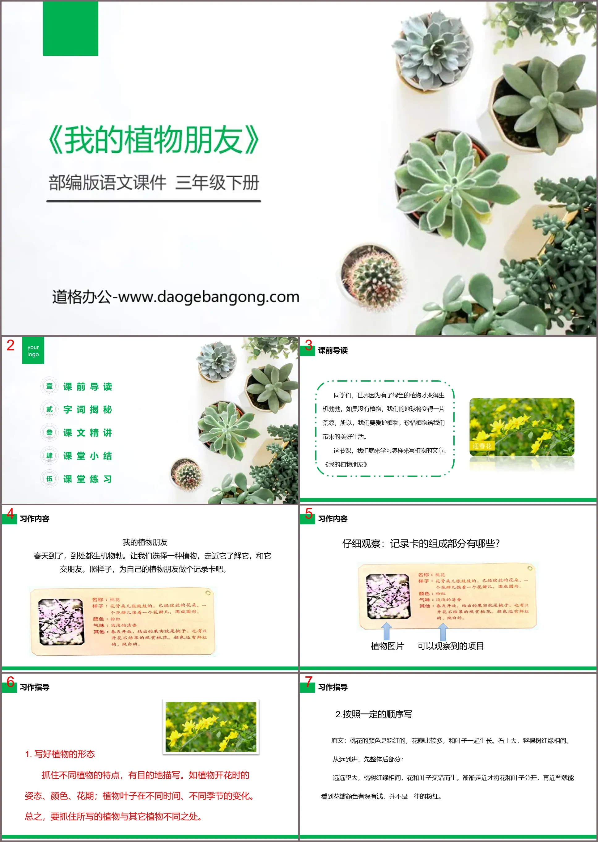 《我的植物朋友》PPT课件下载