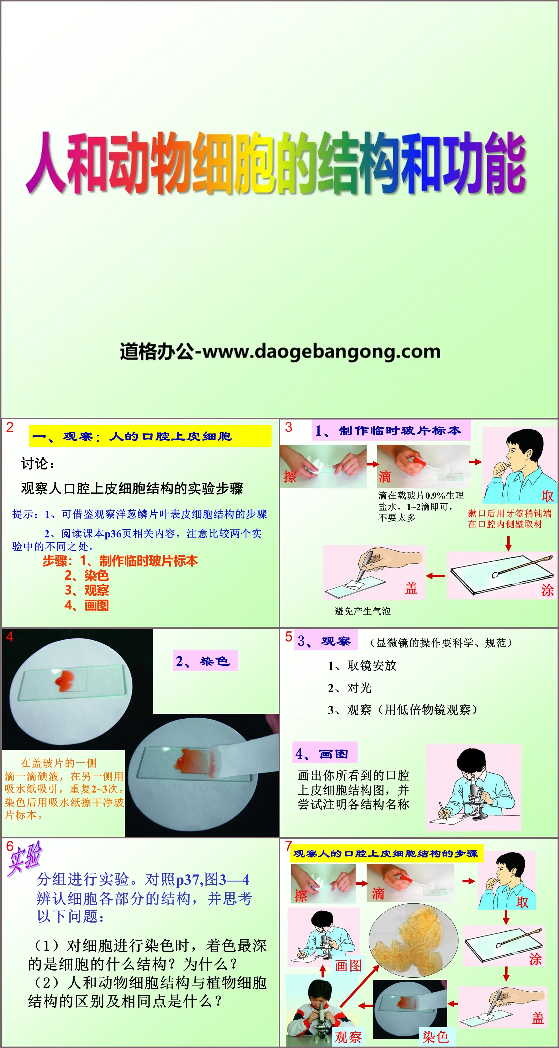 《人和动物细胞的结构和功能》PPT