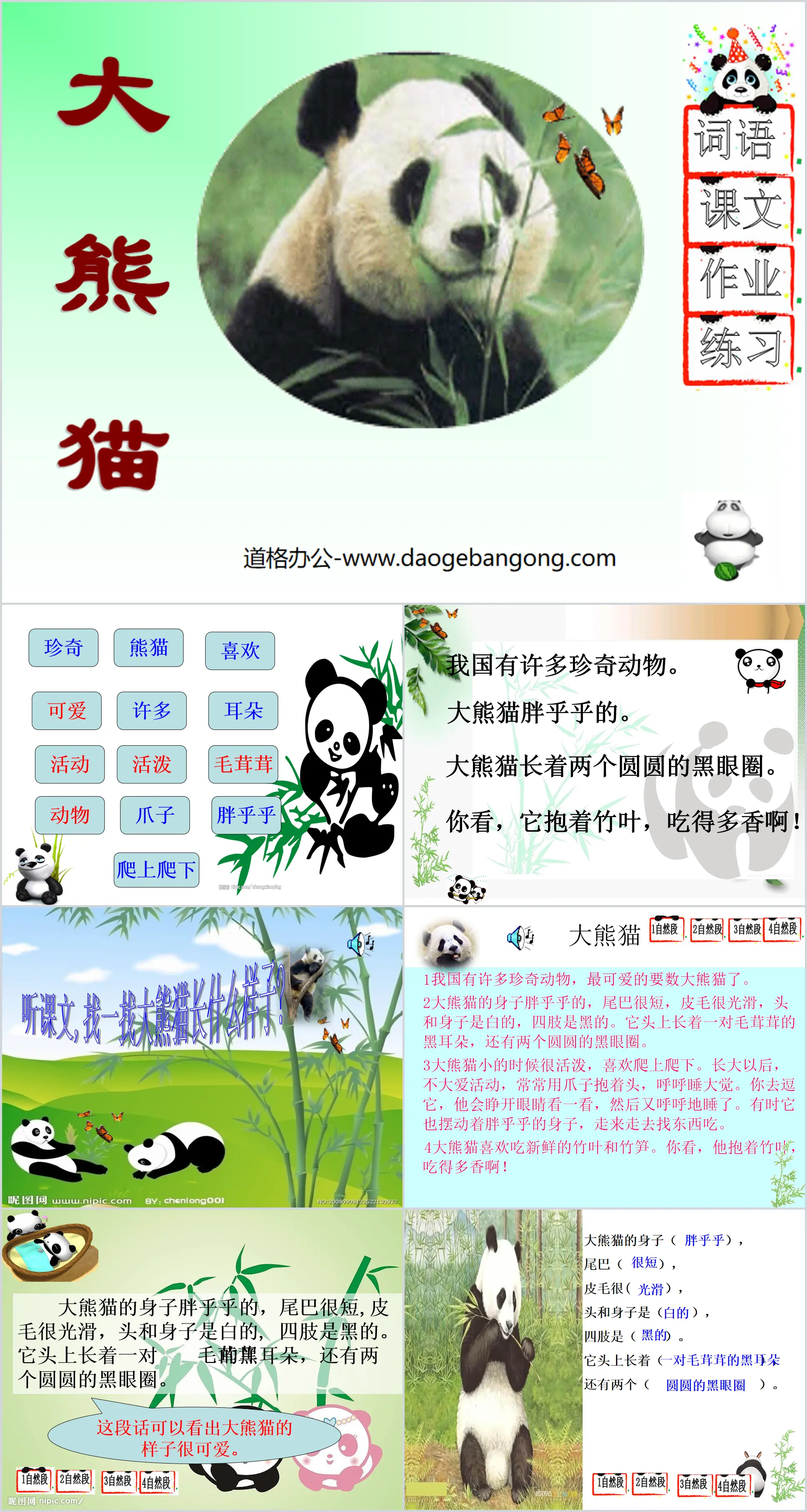 "Giant Panda" PPT courseware 3