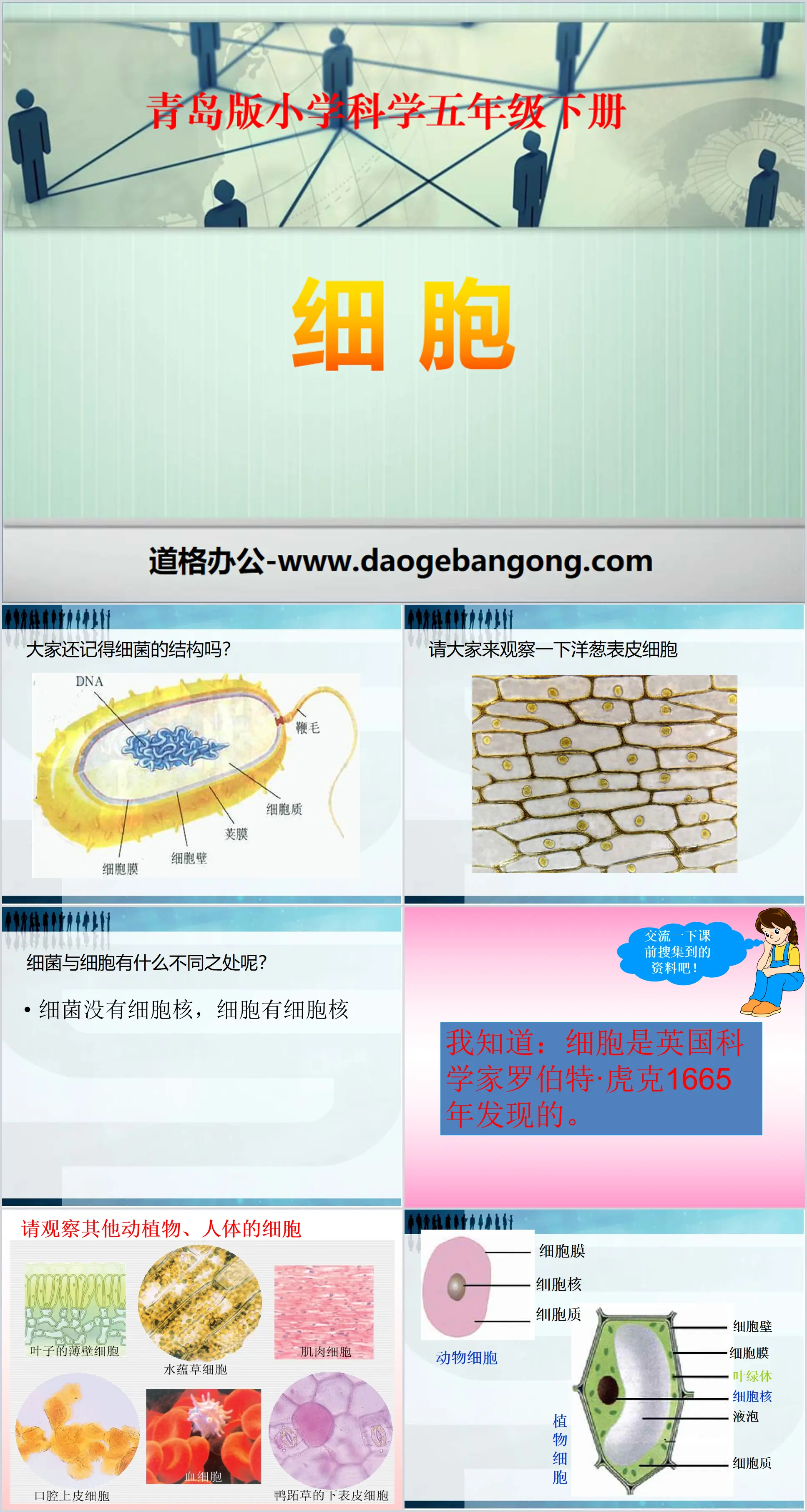 《细胞》PPT
