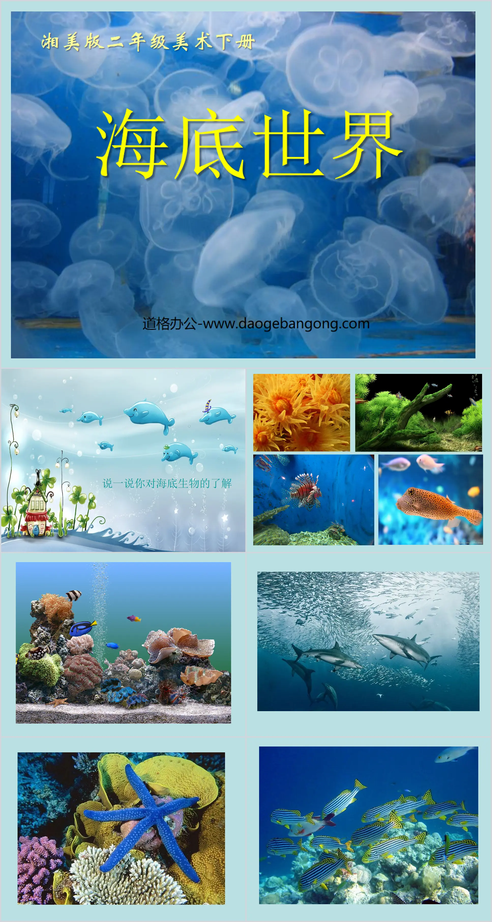 "Underwater World" PPT courseware download