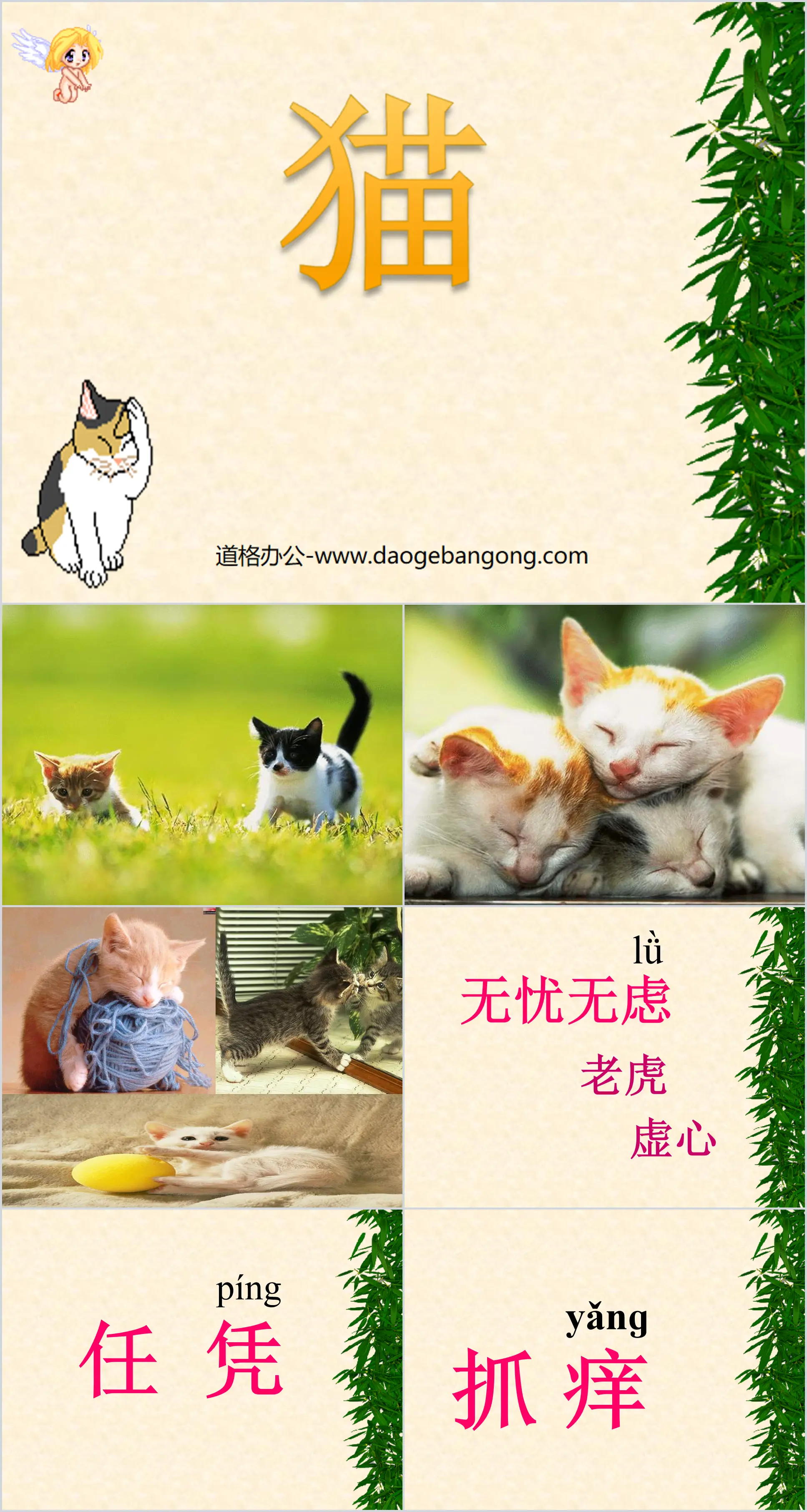 《猫》PPT课件下载2
