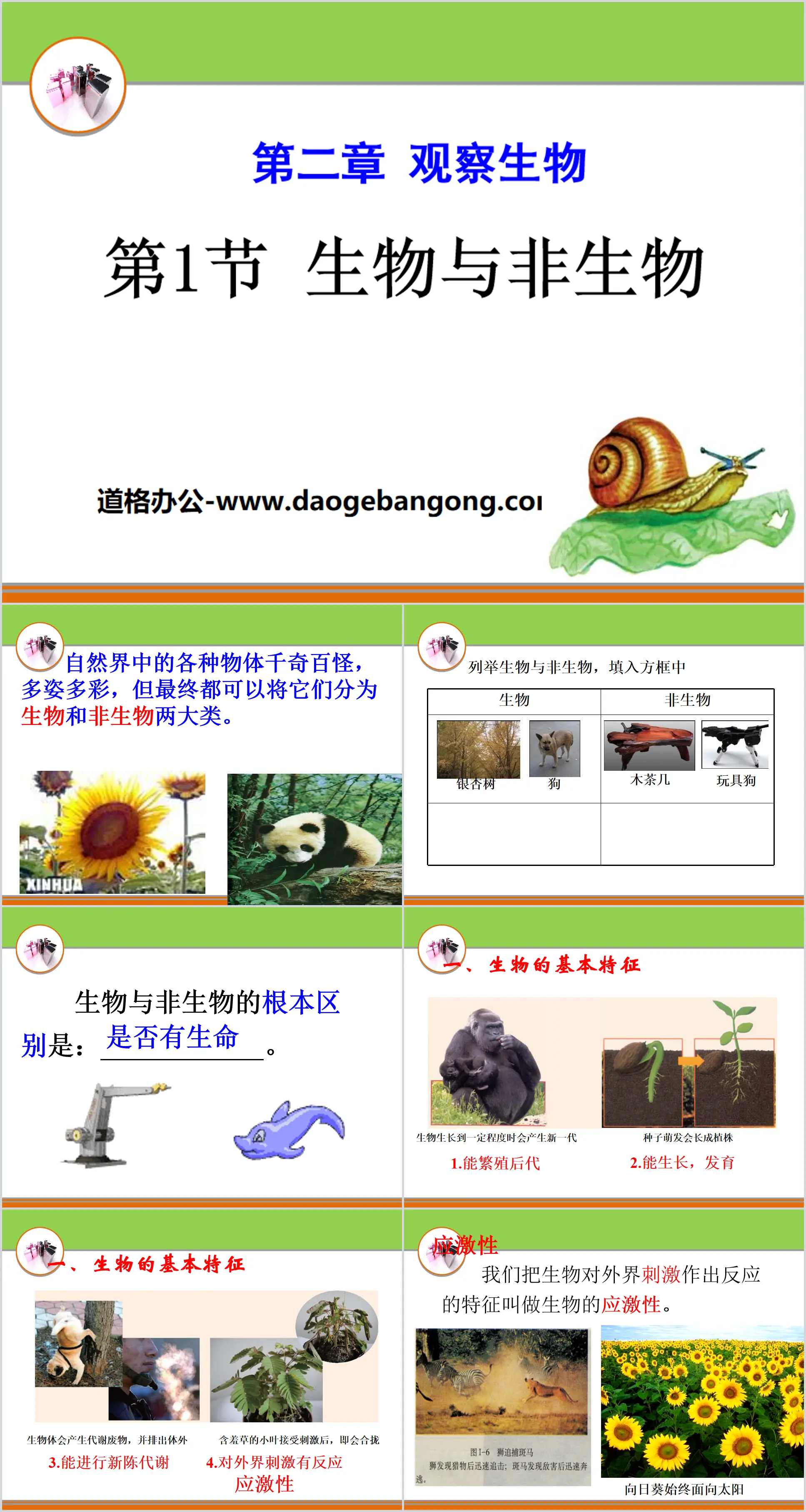 《生物与非生物》PPT
