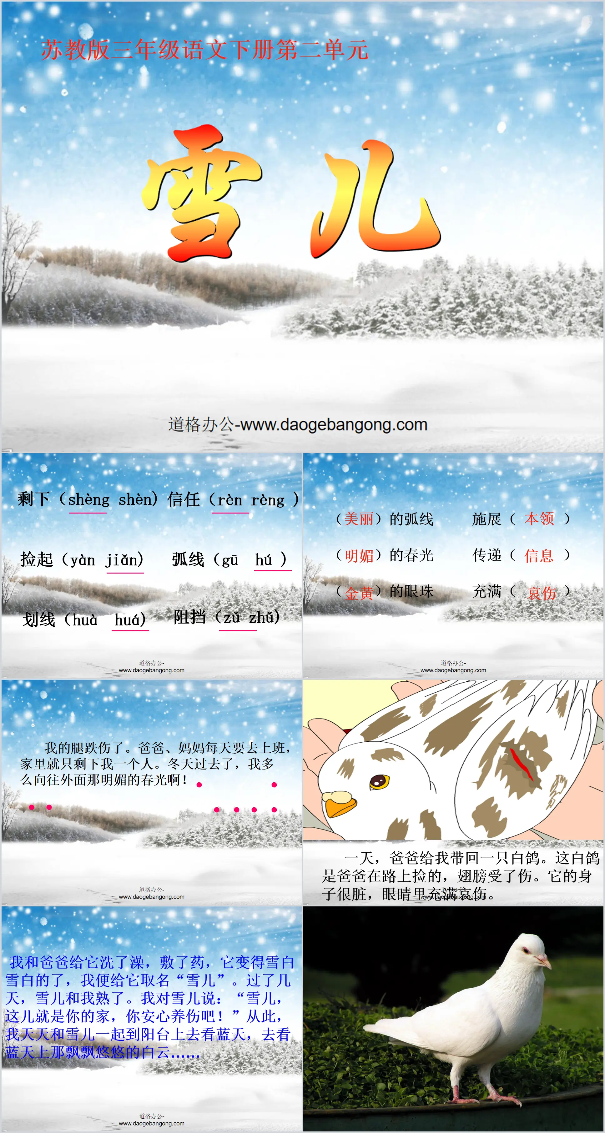 《雪兒》PPT課件5