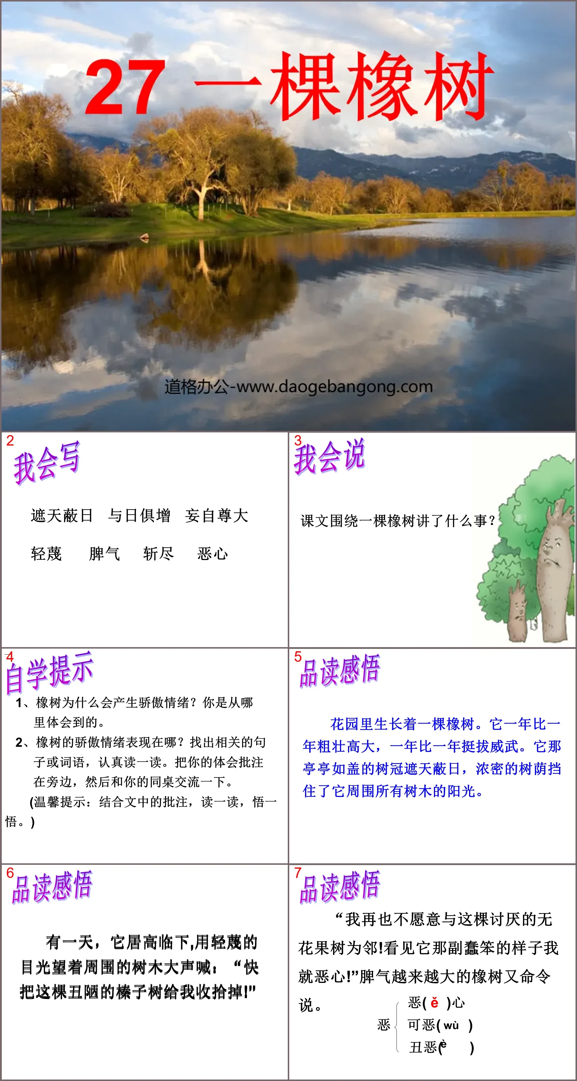 《一棵橡树》PPT课件3