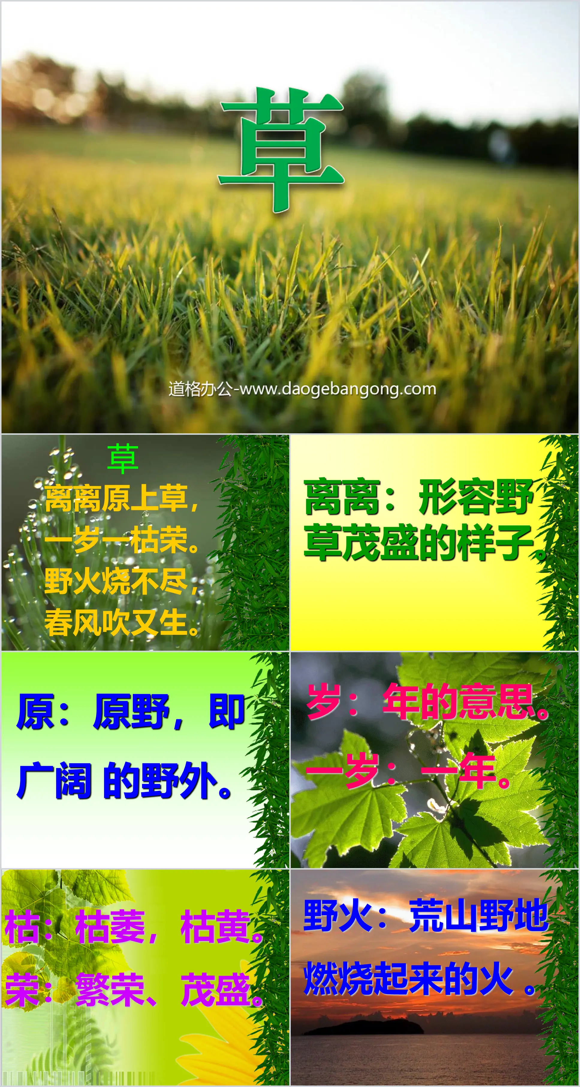 《草》PPT课件
