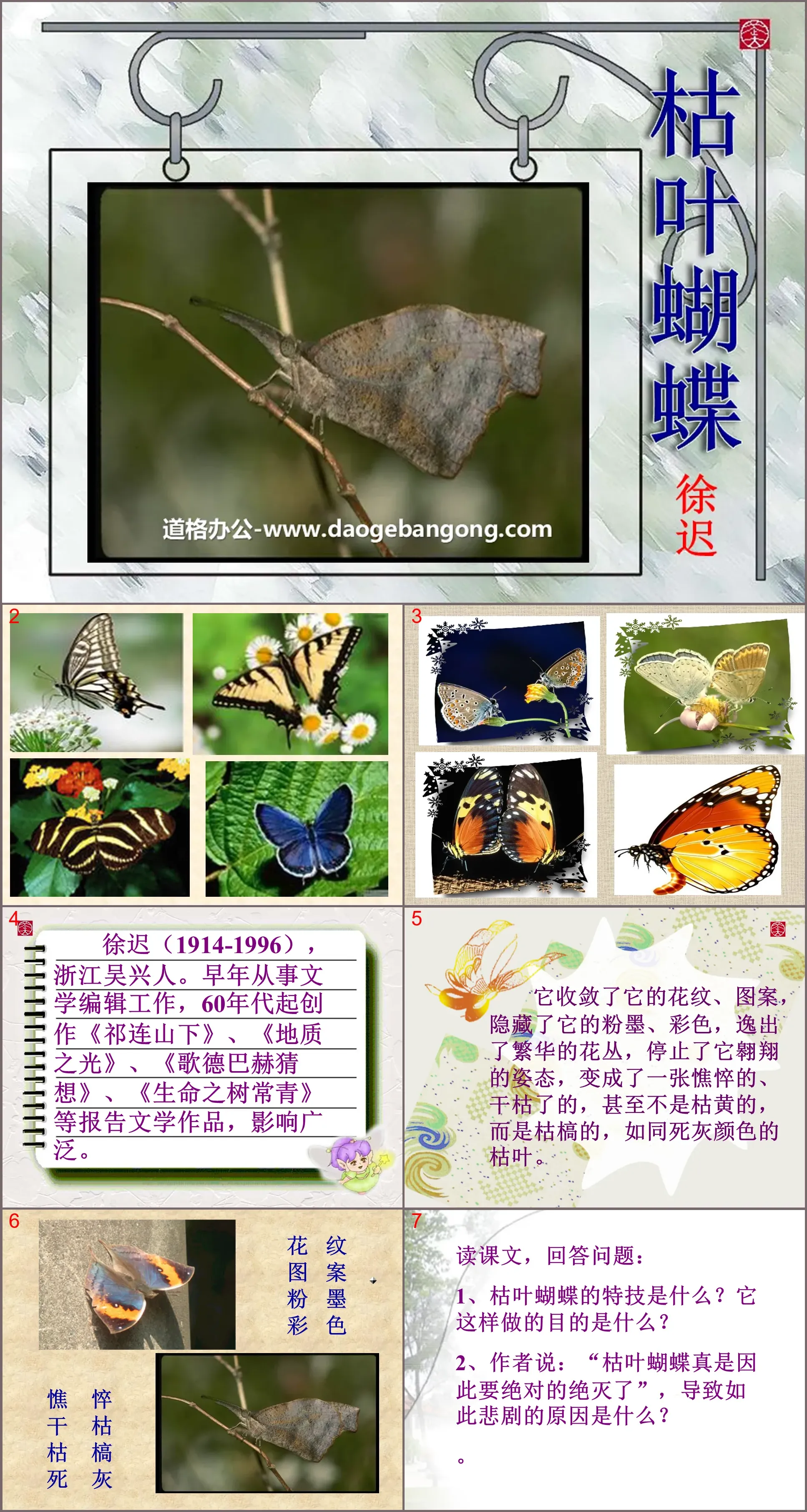 "Dead Leaf Butterfly" PPT courseware 2