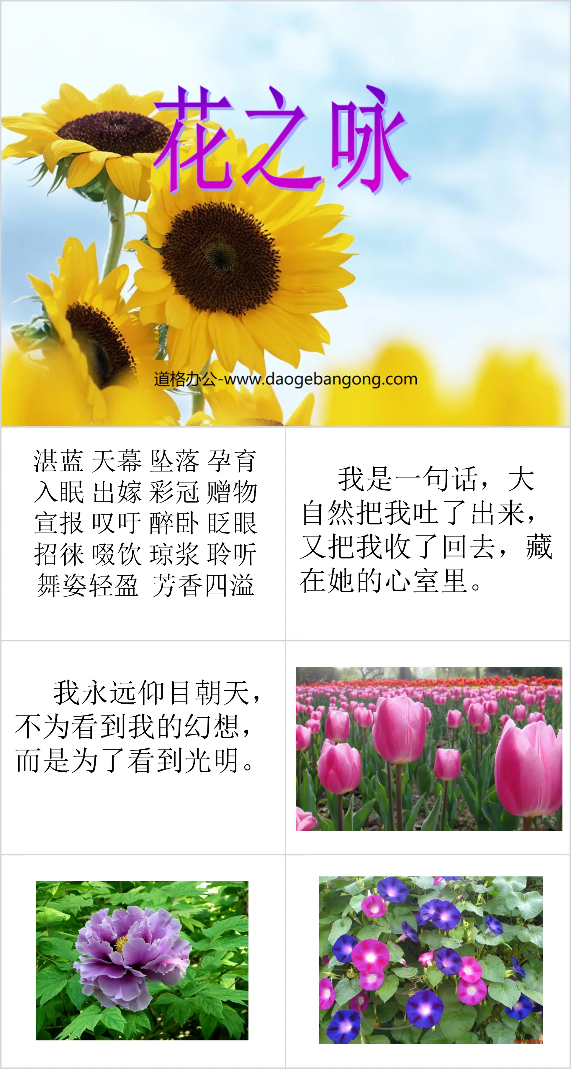 "Song of Flowers" PPT courseware 3