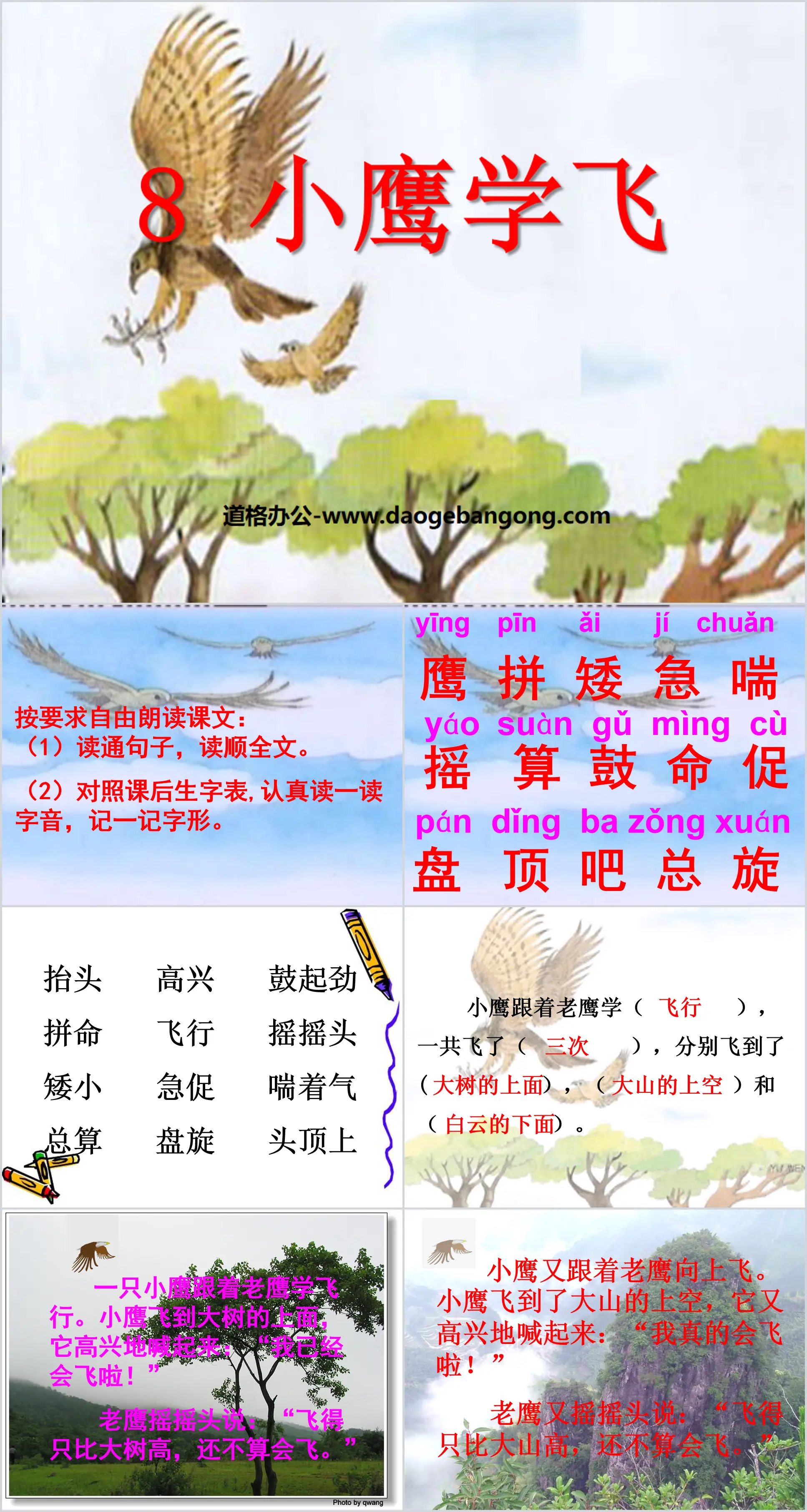 《小鹰学飞》PPT课件3
