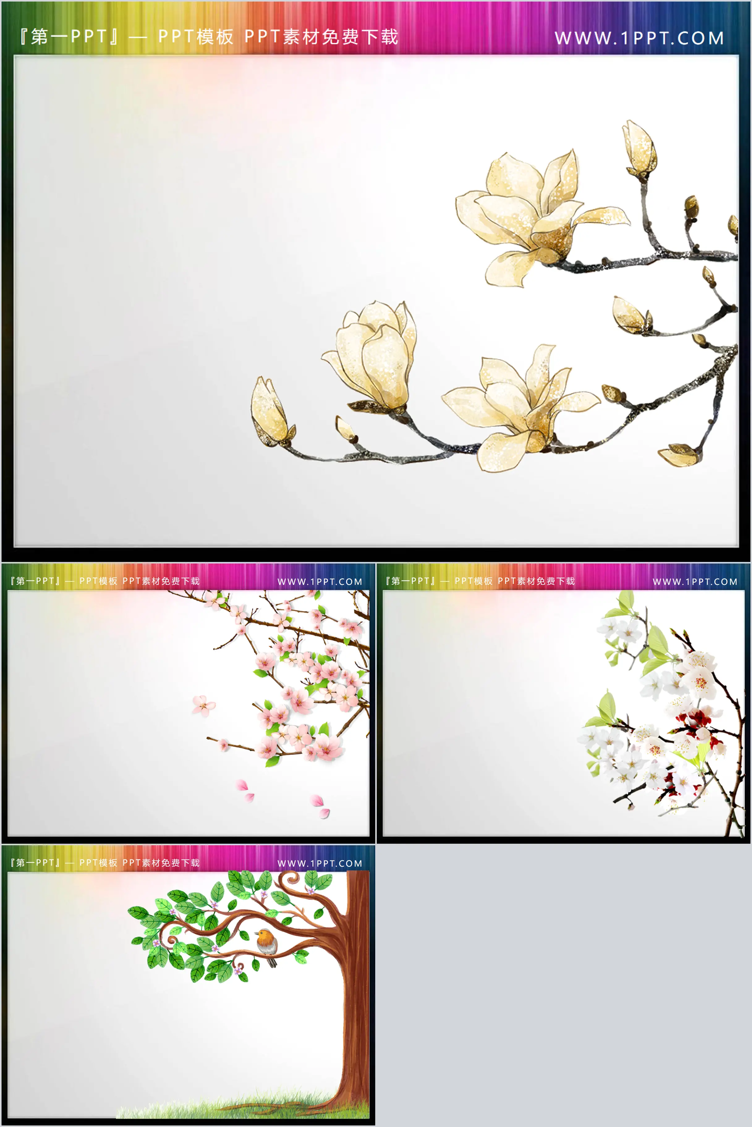 Four spring flowers with transparent backgrounds PPT material