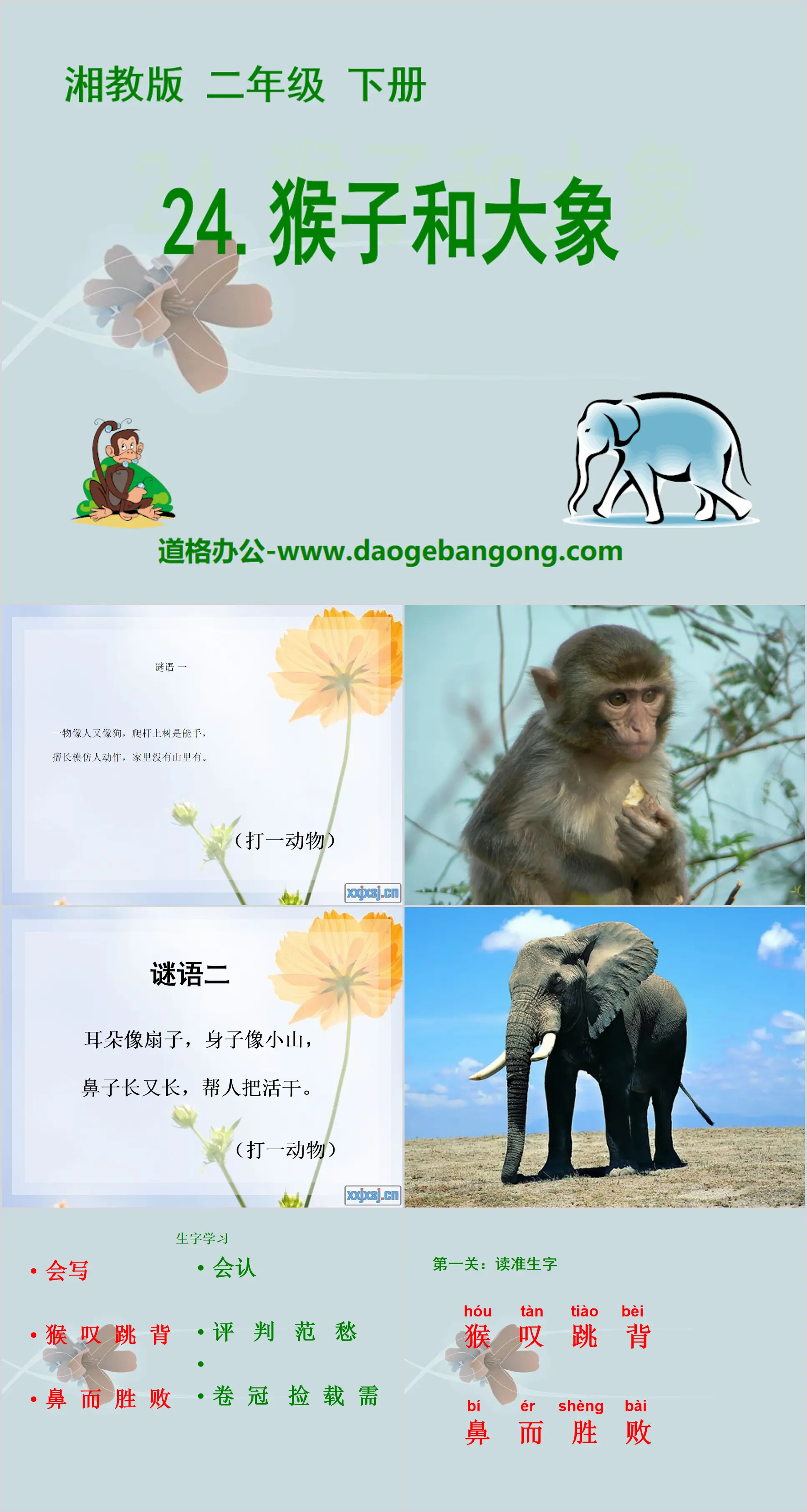 "Monkey and Elephant" PPT courseware 2