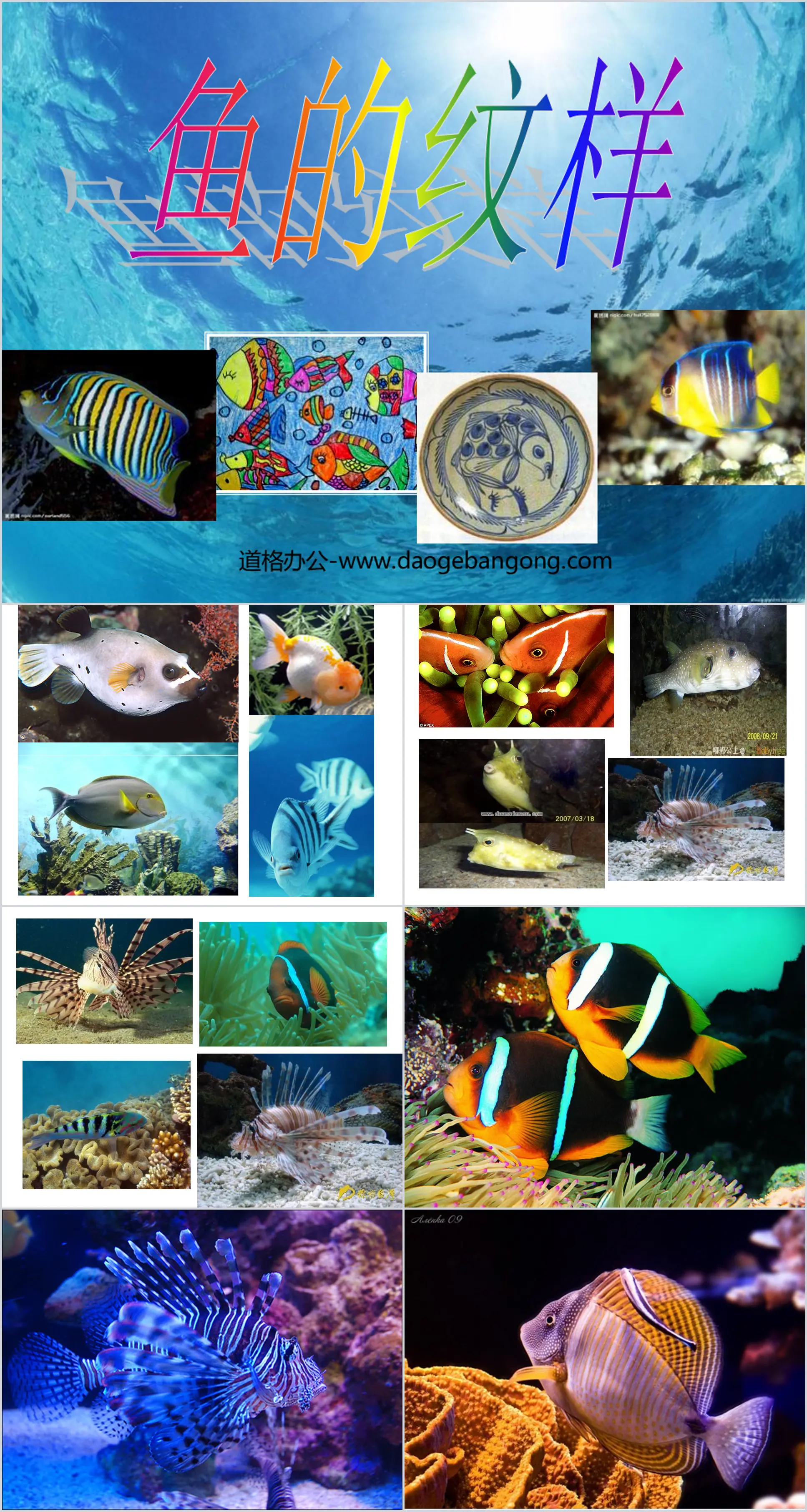 "Fish Patterns" PPT Courseware 2