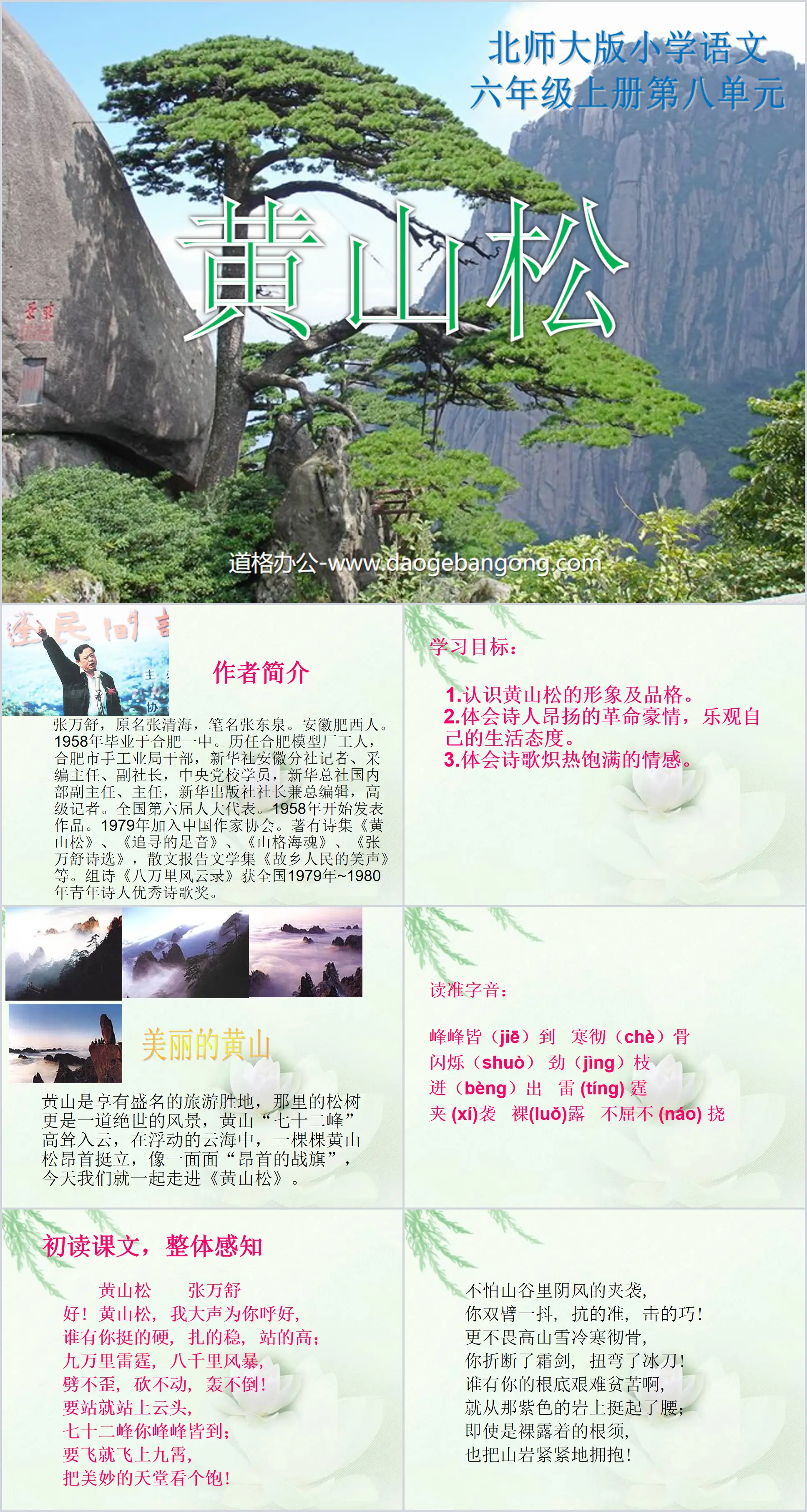 "Huangshan Pine" PPT courseware