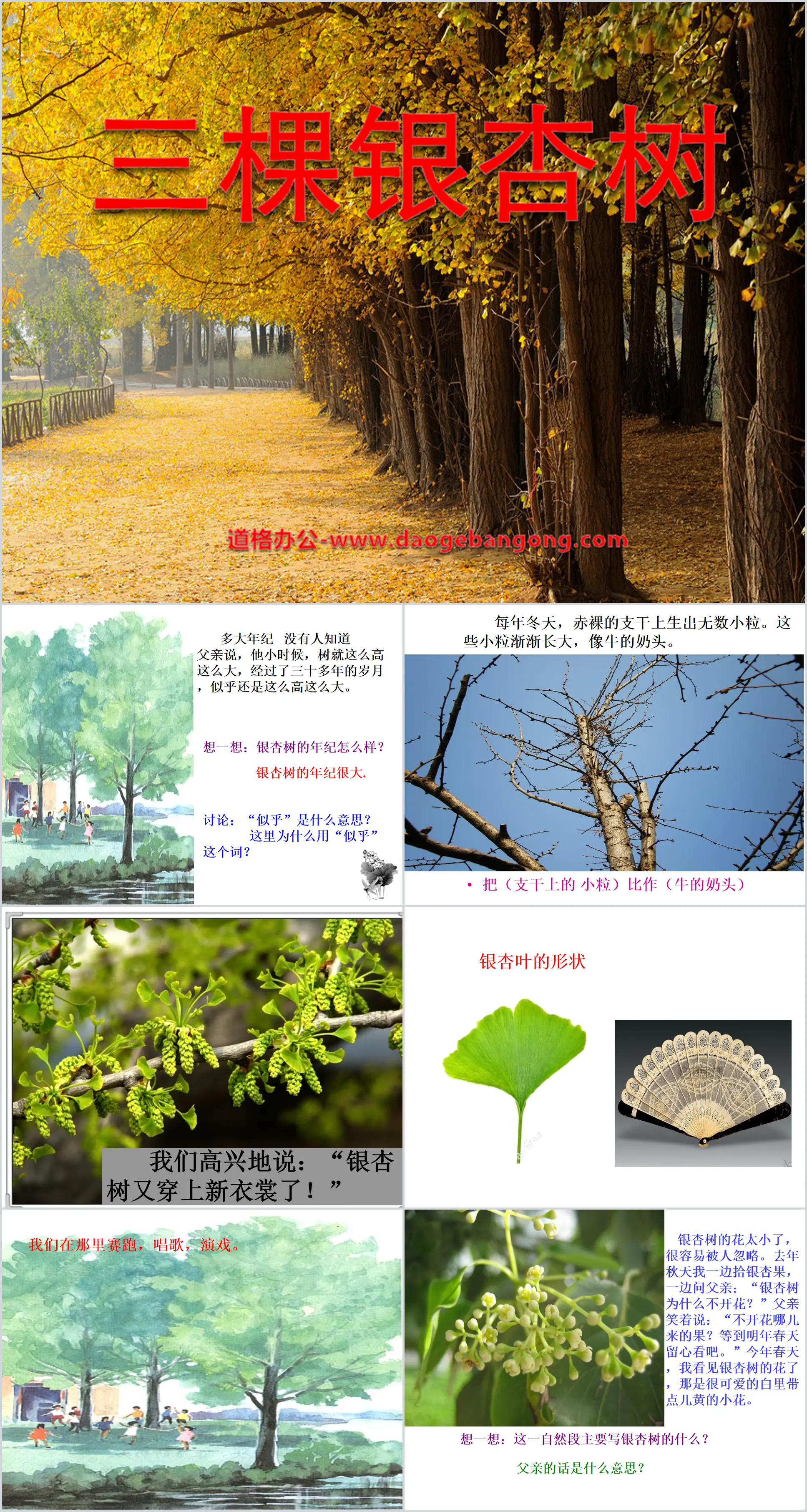 "Trois arbres Ginkgo" Didacticiel PPT 2