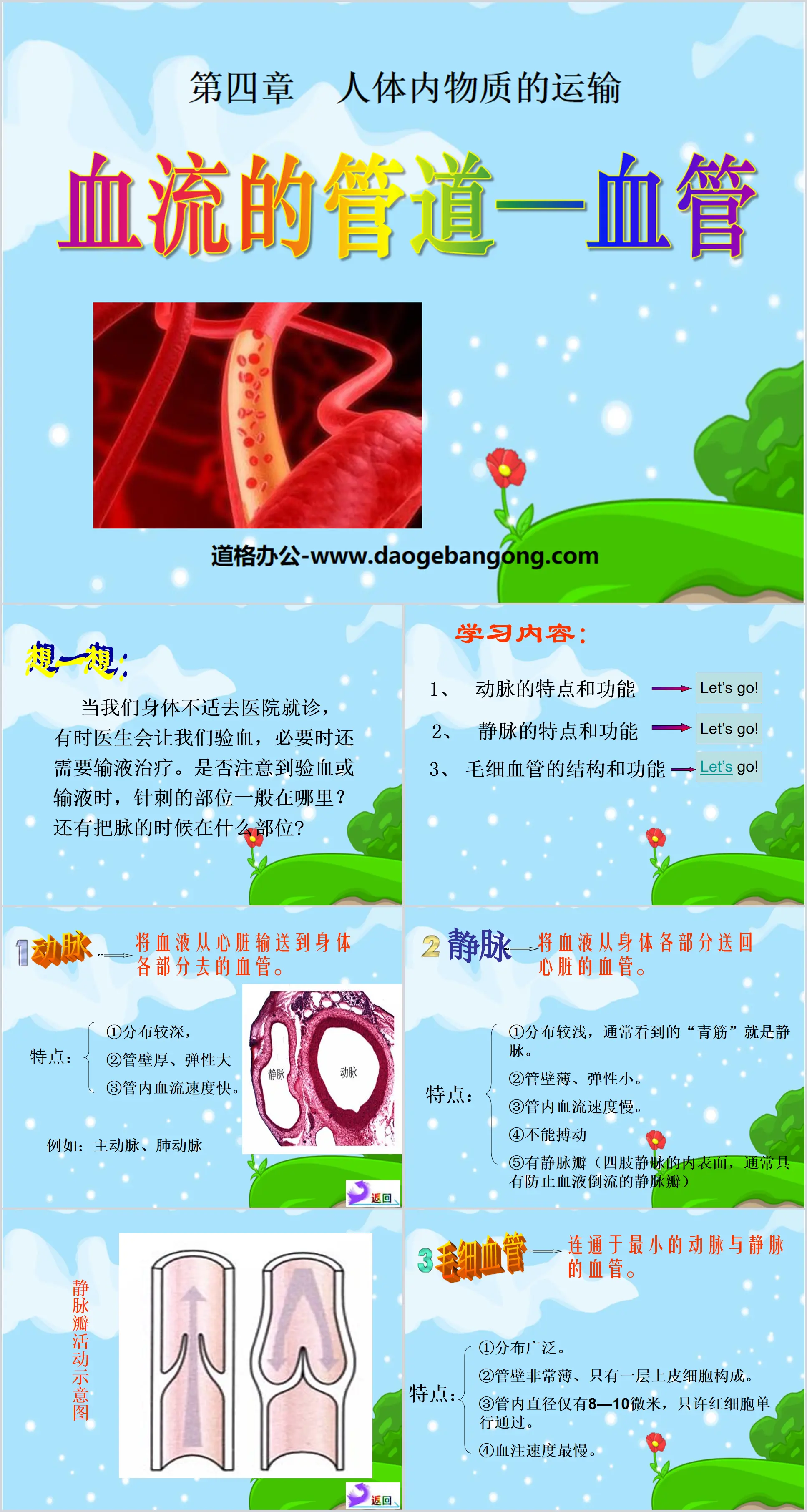 "Pipelines for Blood Flow - Blood Vessels" Transportation of Materials in the Human Body PPT Courseware 2