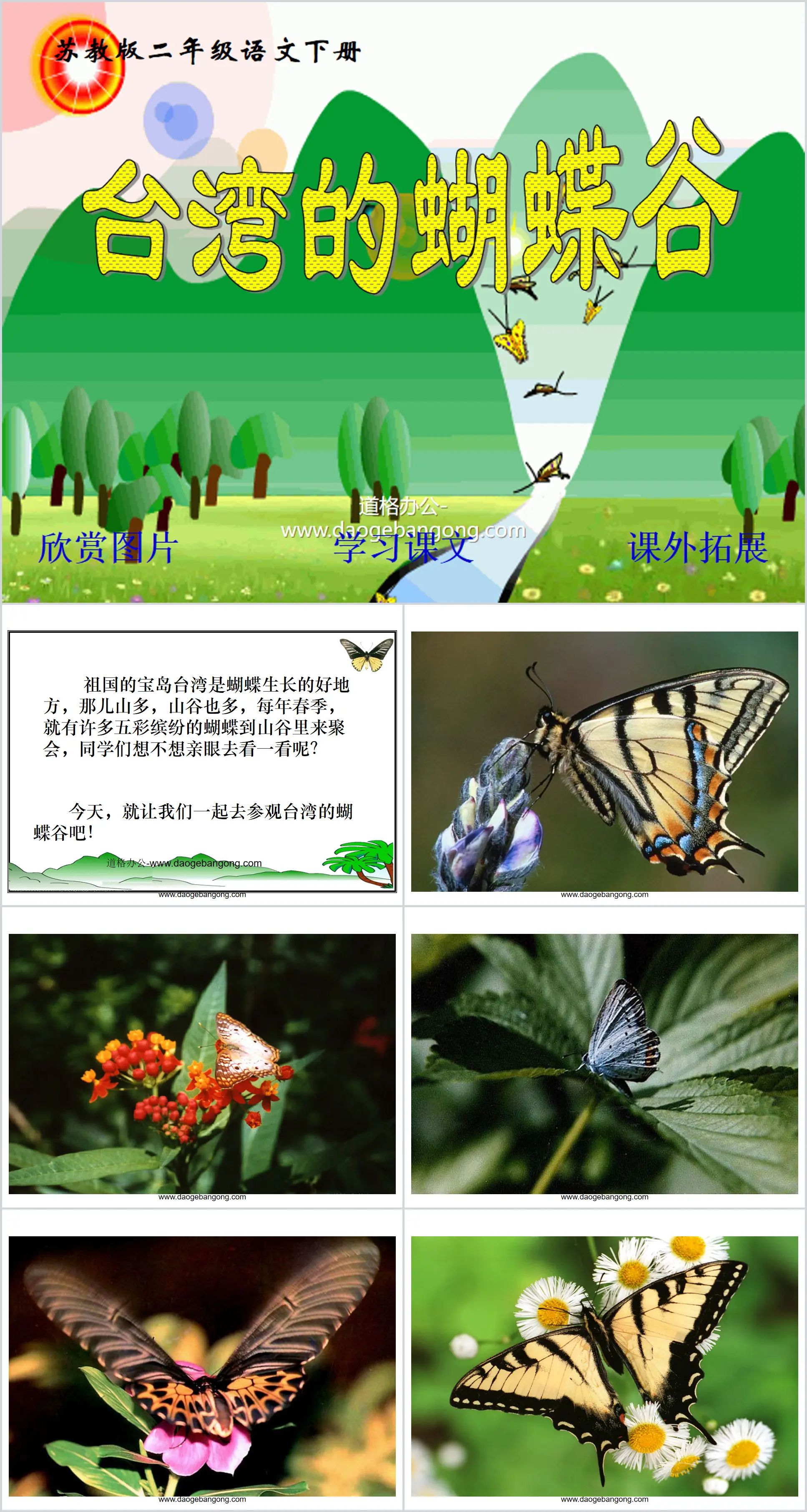 Didacticiel PPT "La Vallée des Papillons de Taiwan" 2