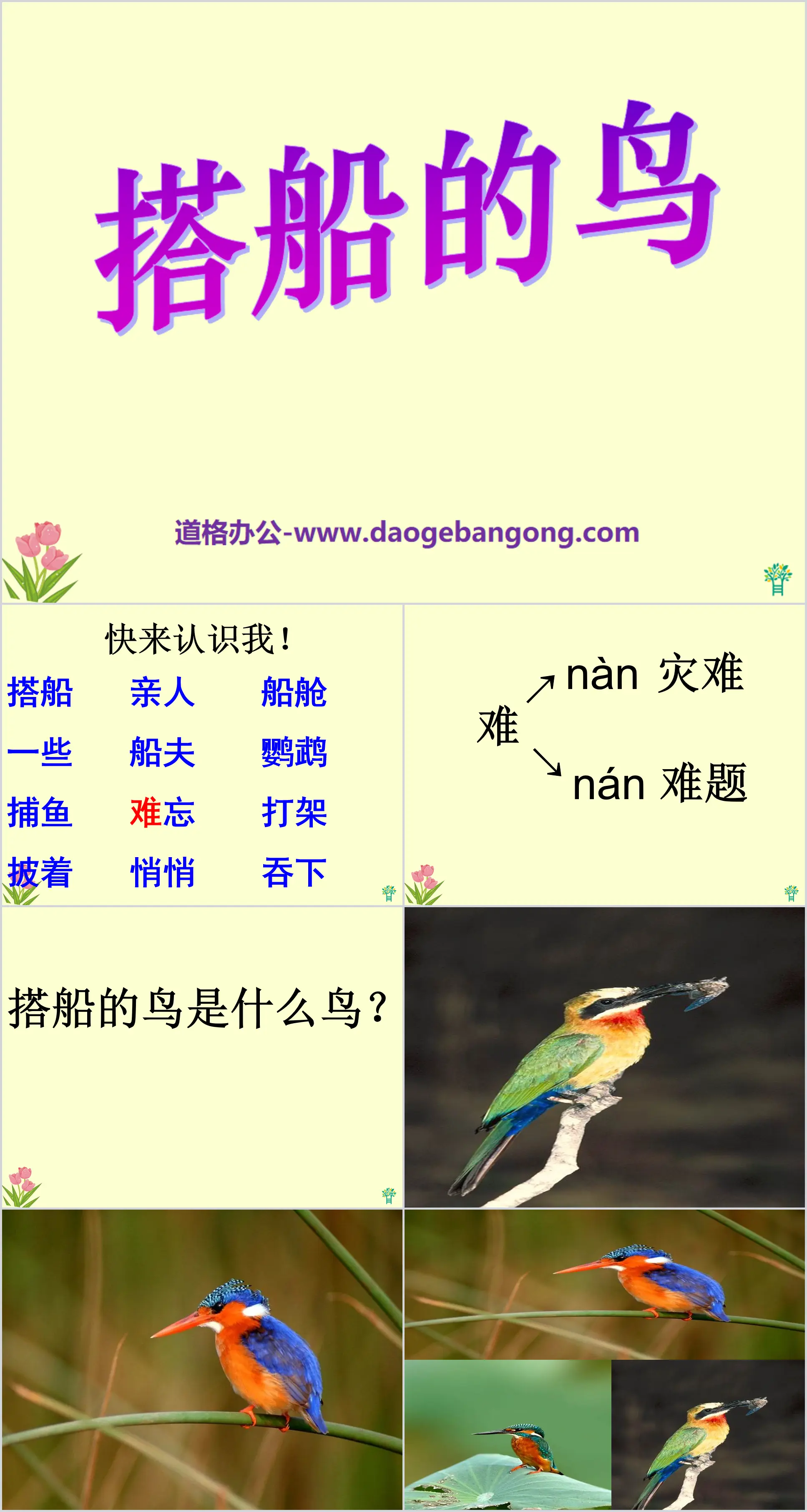 《搭船的鸟》PPT课件
