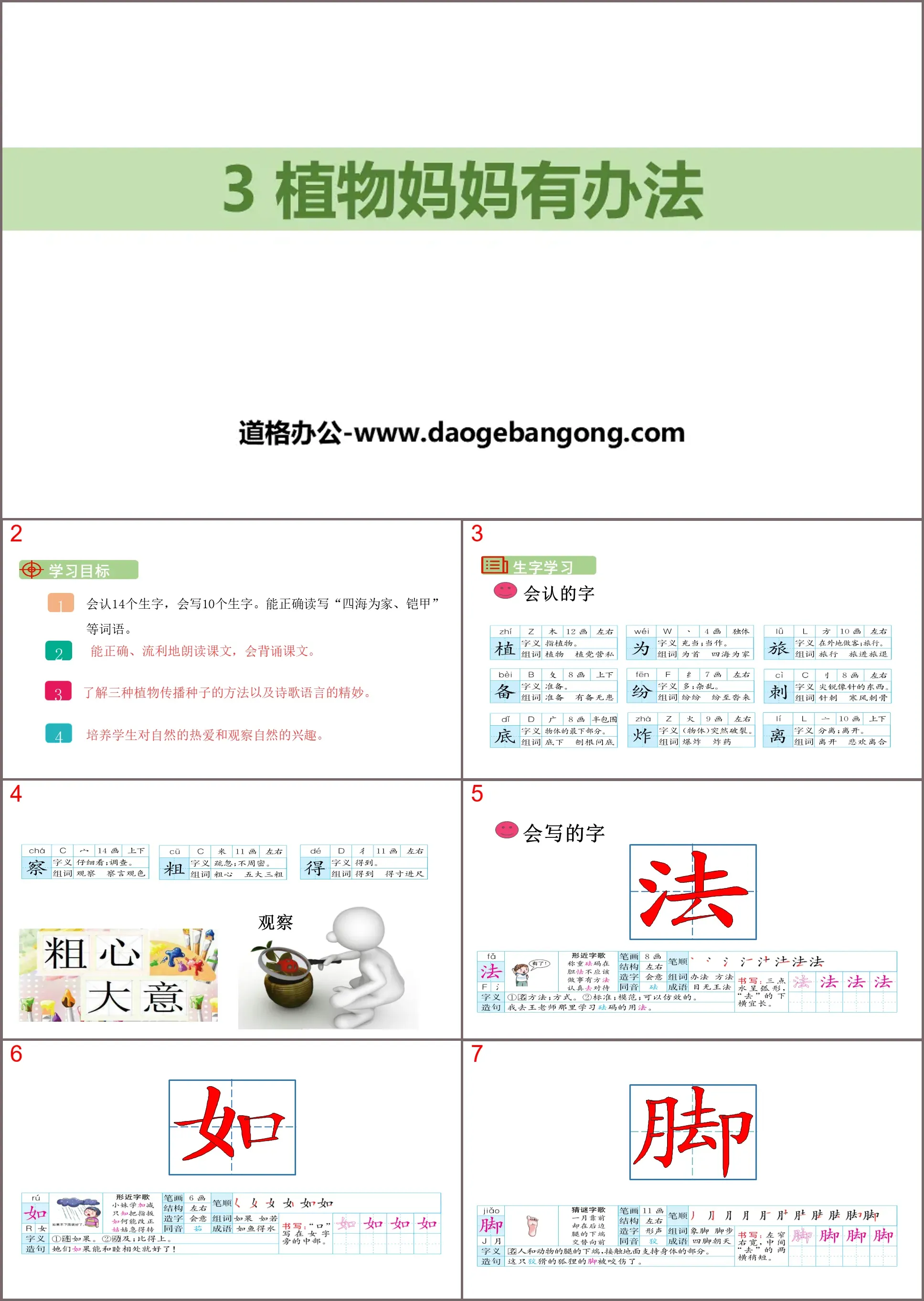 《植物媽媽有辦法》PPT優秀課件