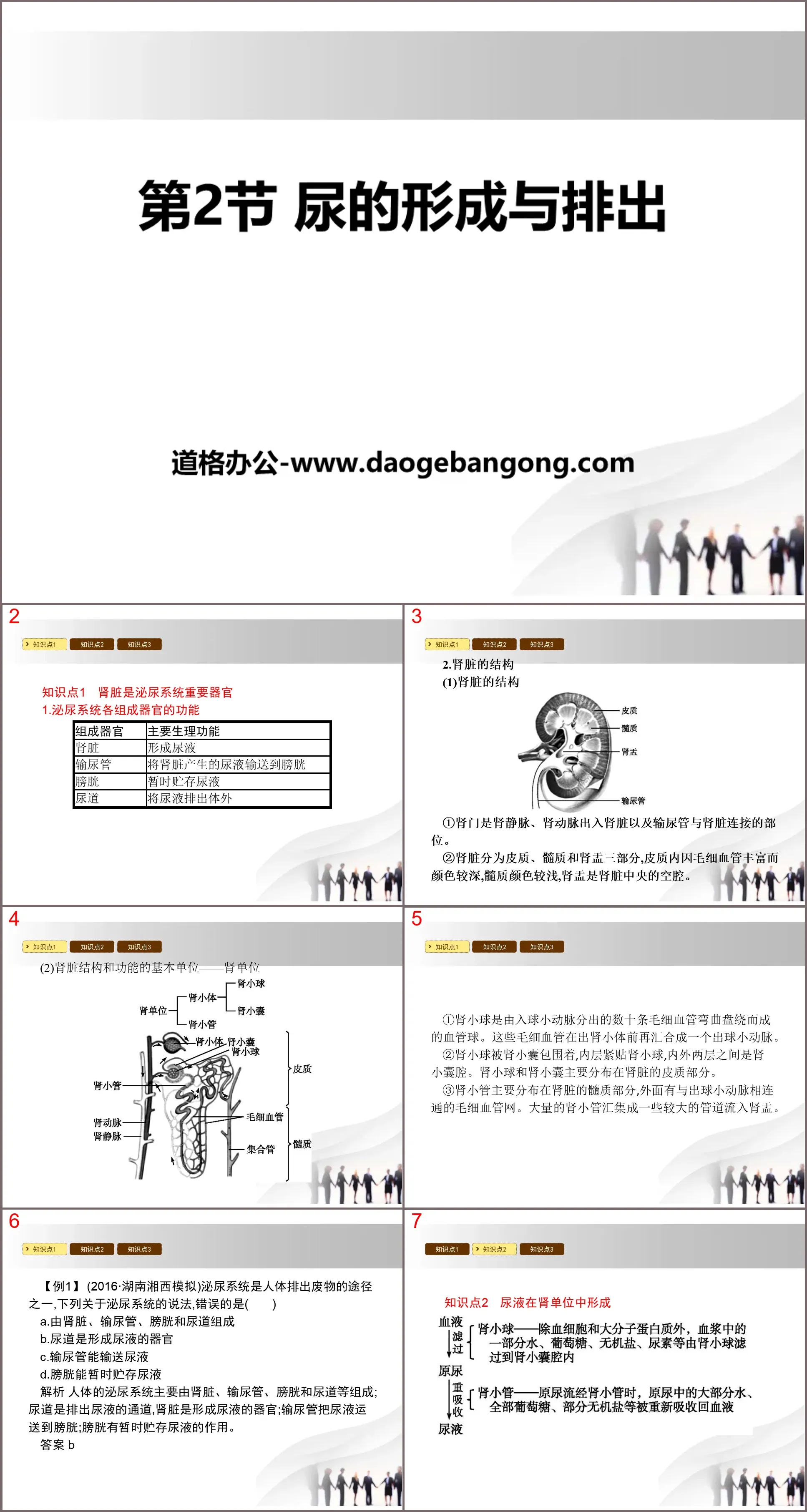 《尿的形成與排出》PPT下載