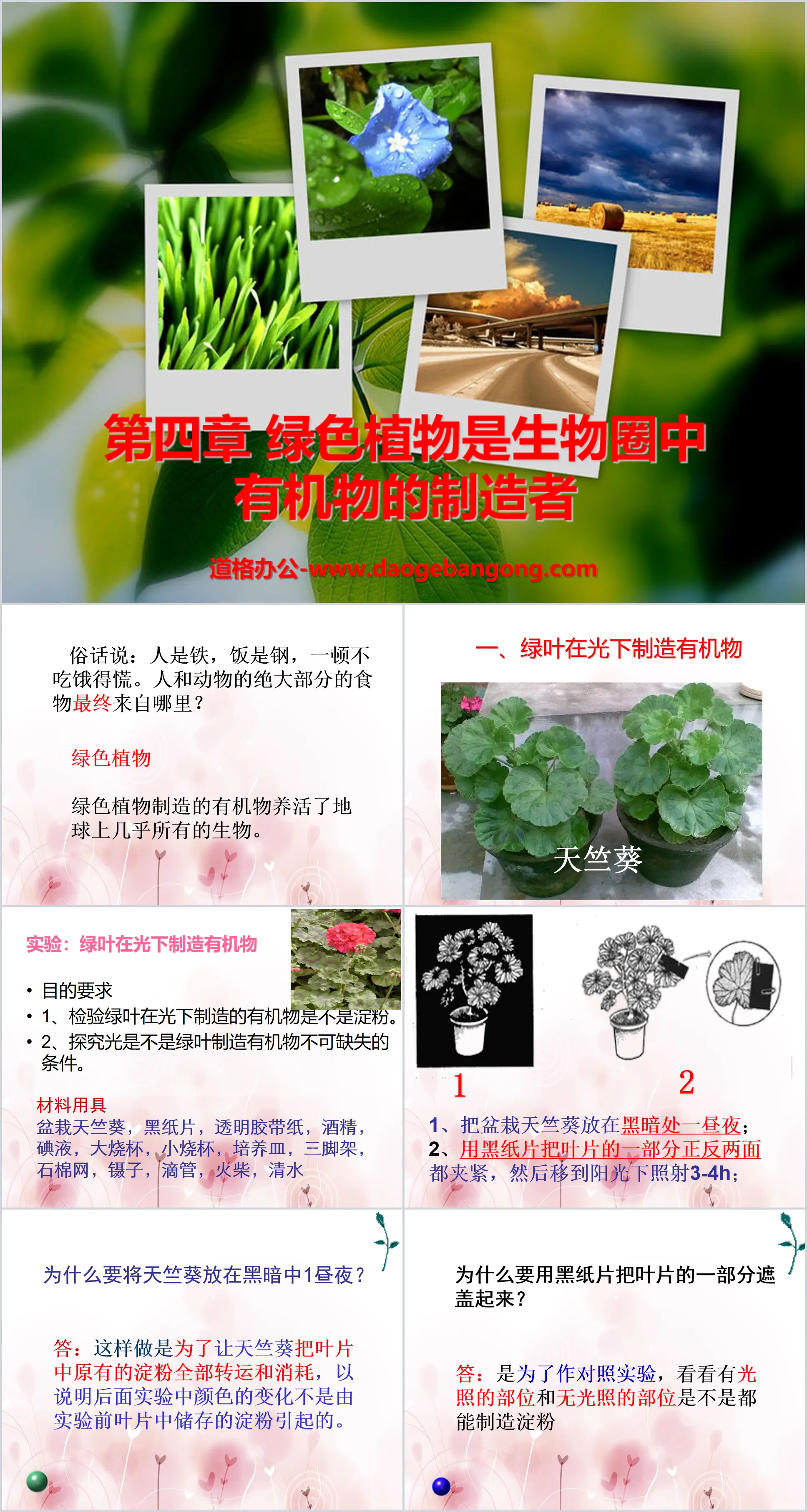 《綠色植物是生物圈中有機物的製造者》PPT課件3