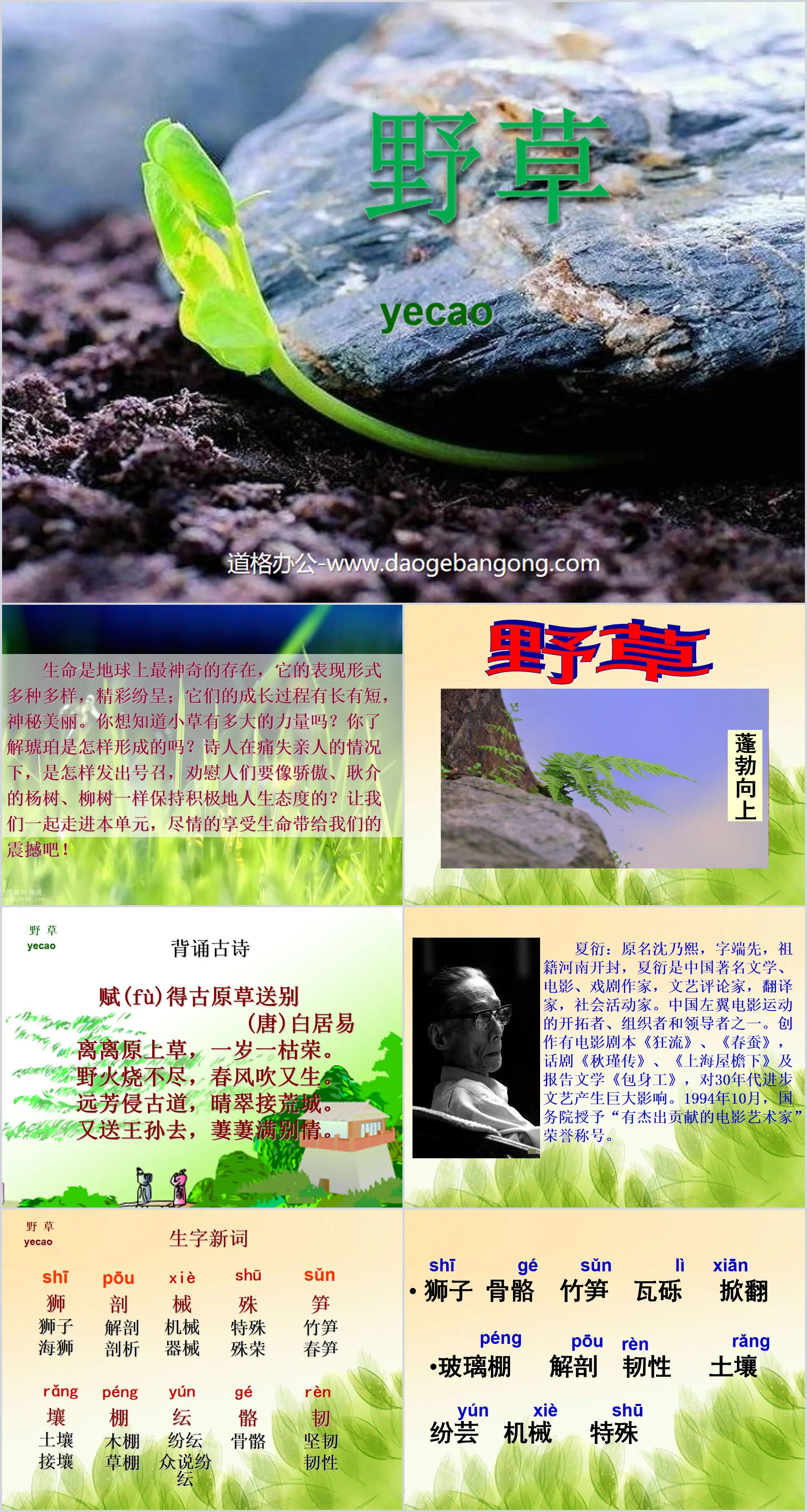 《野草》PPT课件3
