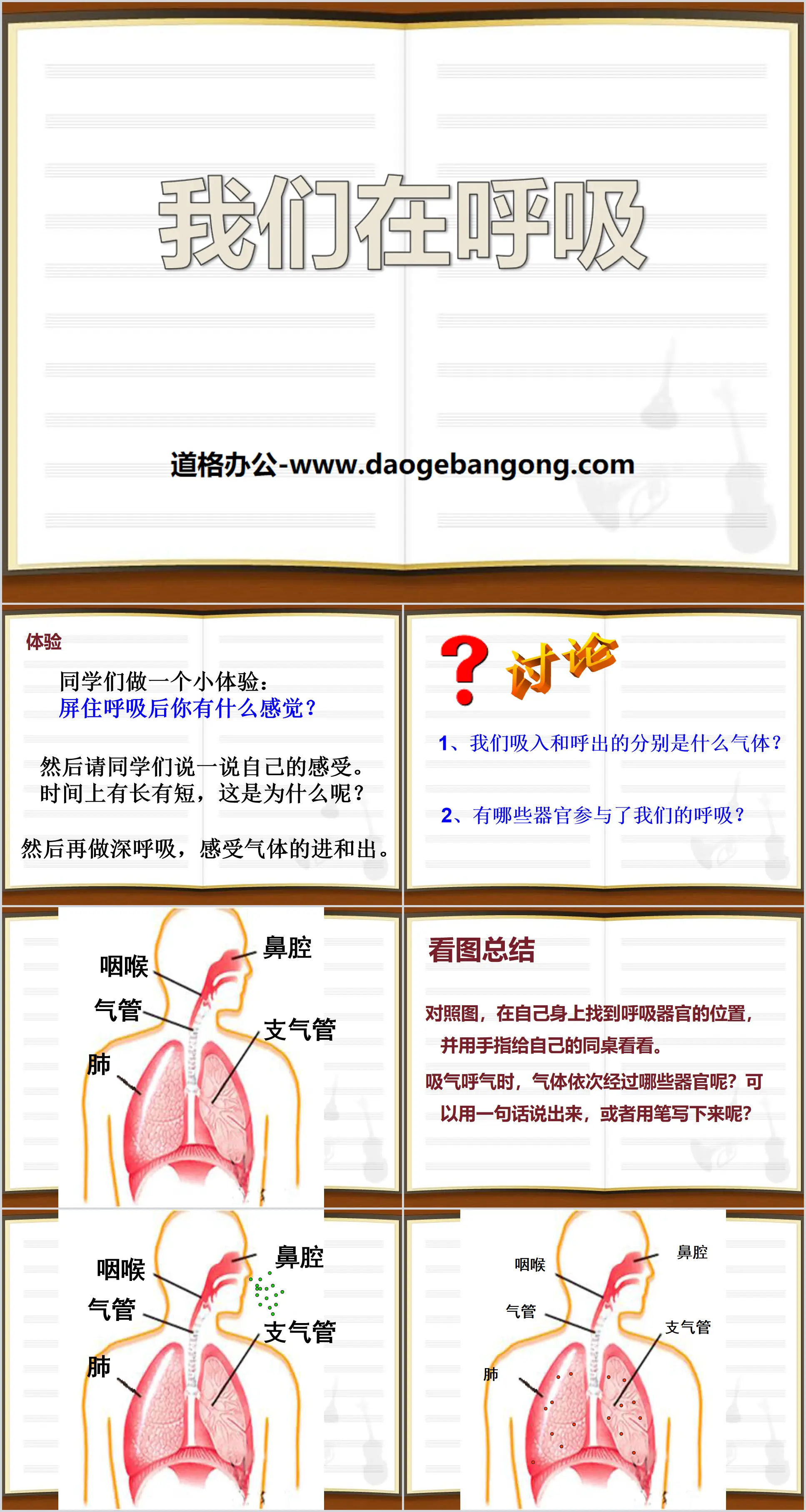 《我們在呼吸》PPT課件