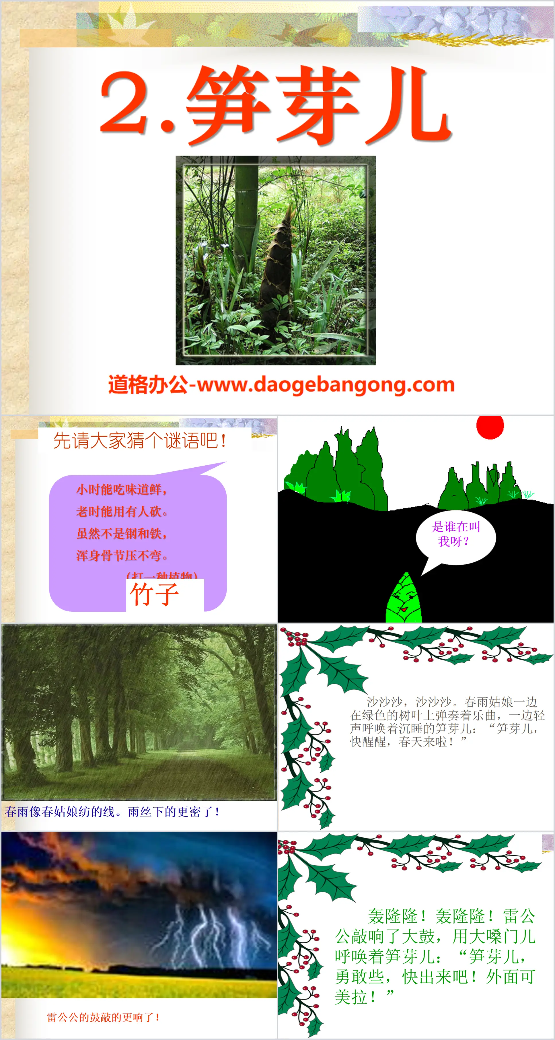 "Bamboo Shoots" PPT courseware 10