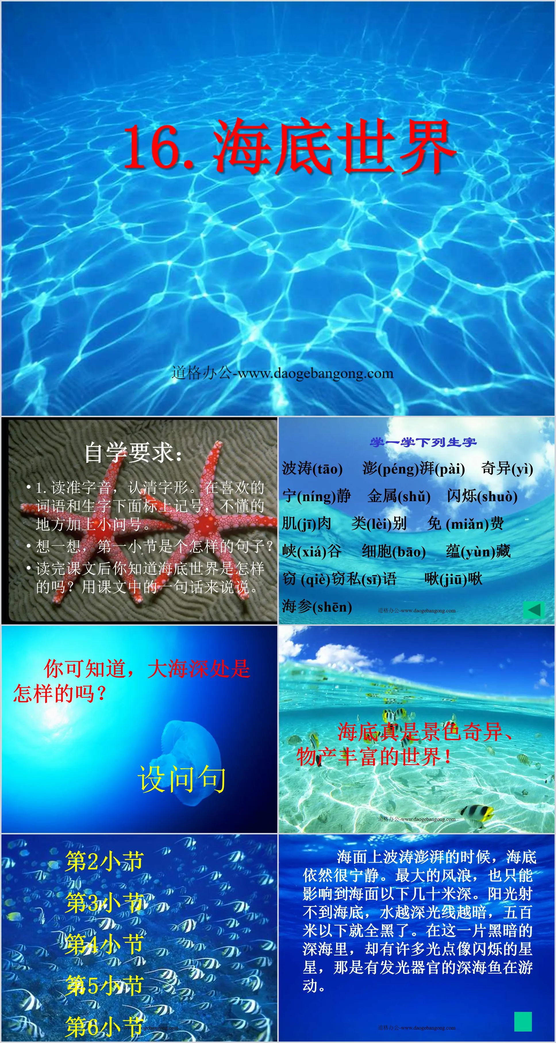 《海底世界》PPT课件2