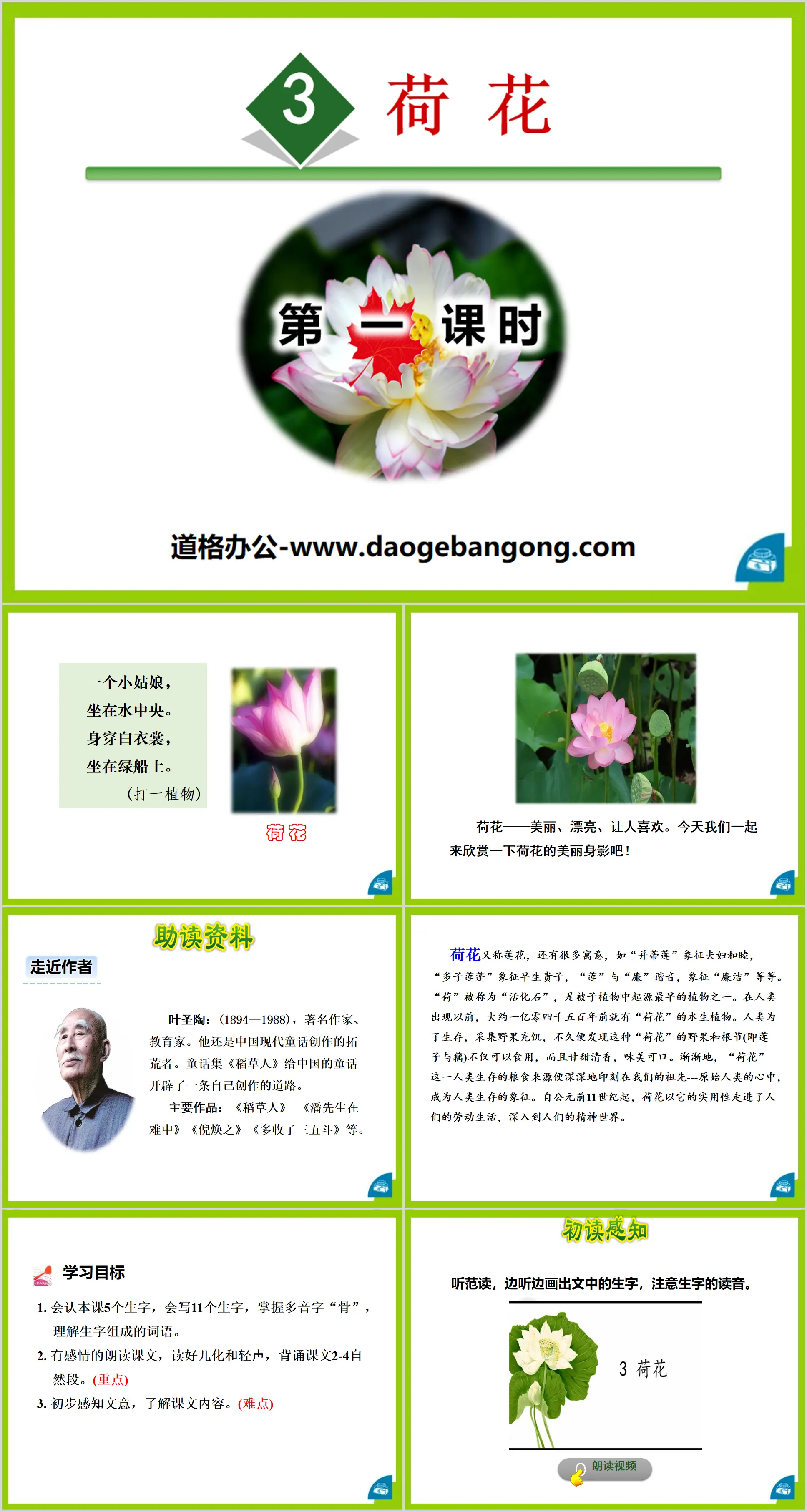 《荷花》PPT(第一课时)
