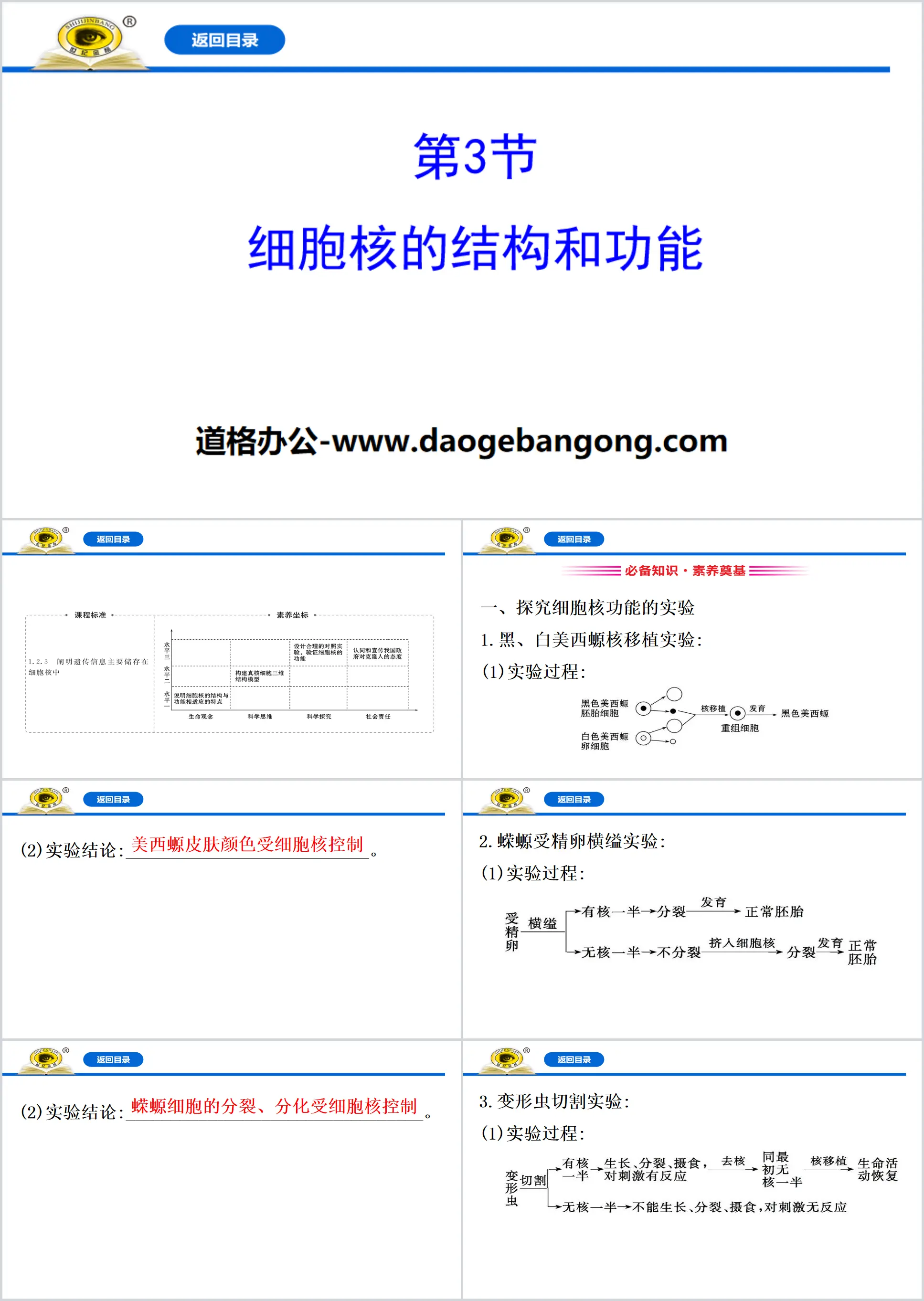 《細胞核的結構與功能》細胞的基本結構PPT