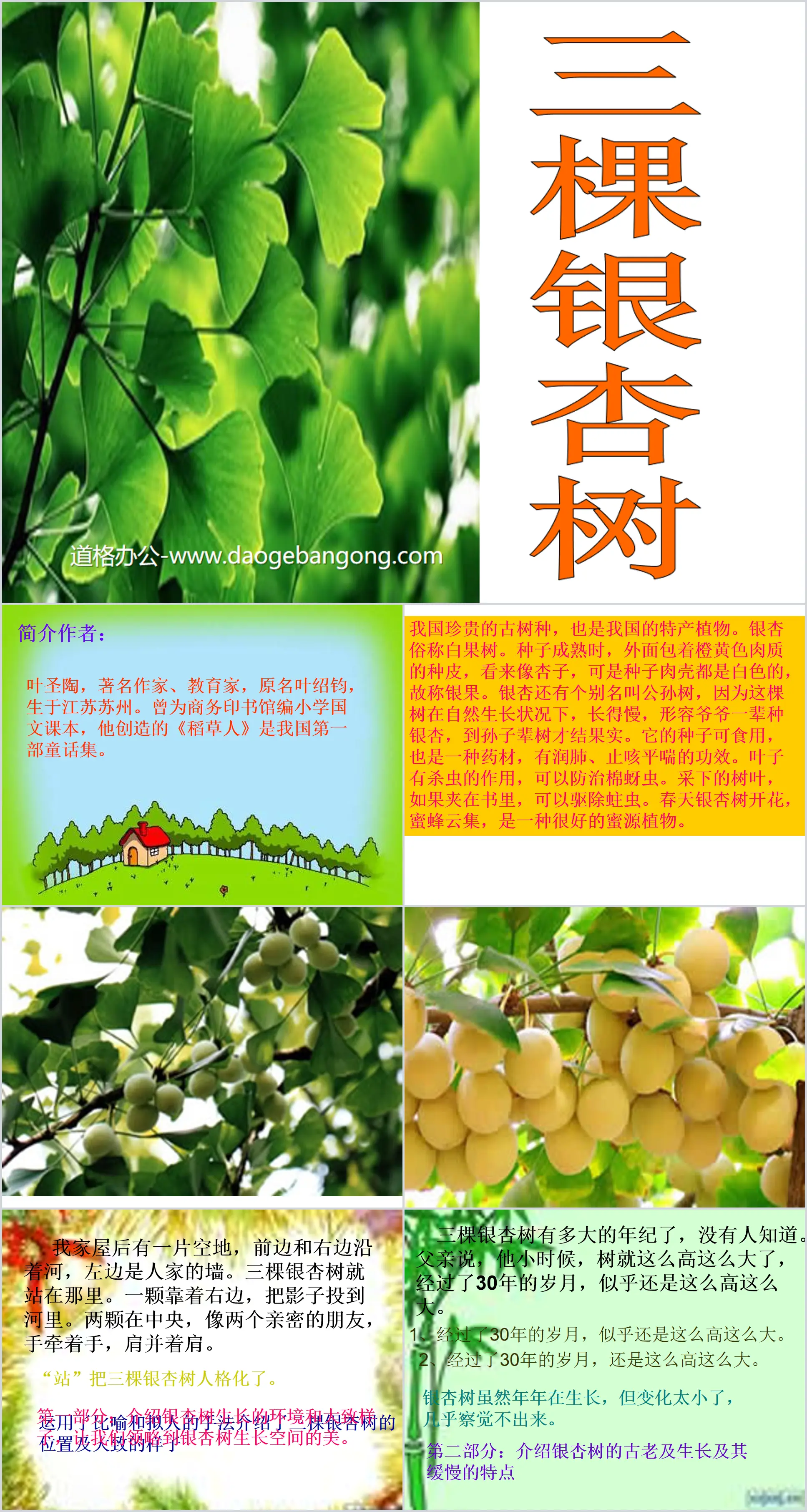 Didacticiel PPT « Trois arbres Ginkgo »