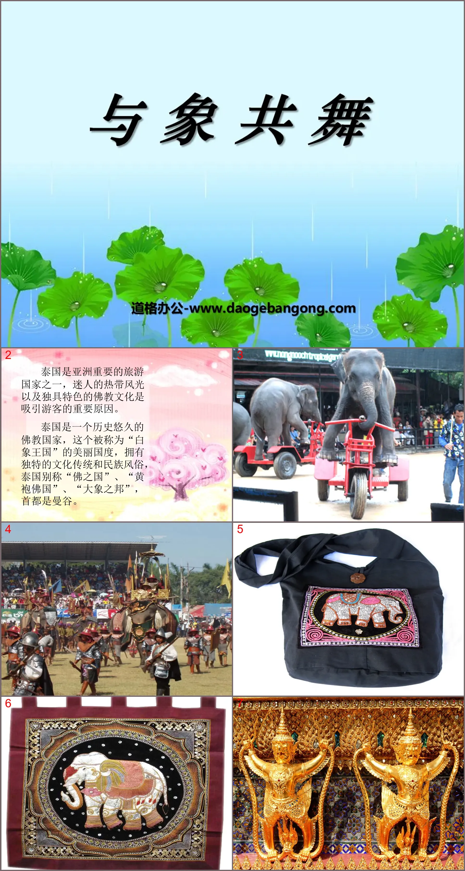 "Dancing with the Elephant" PPT courseware 5