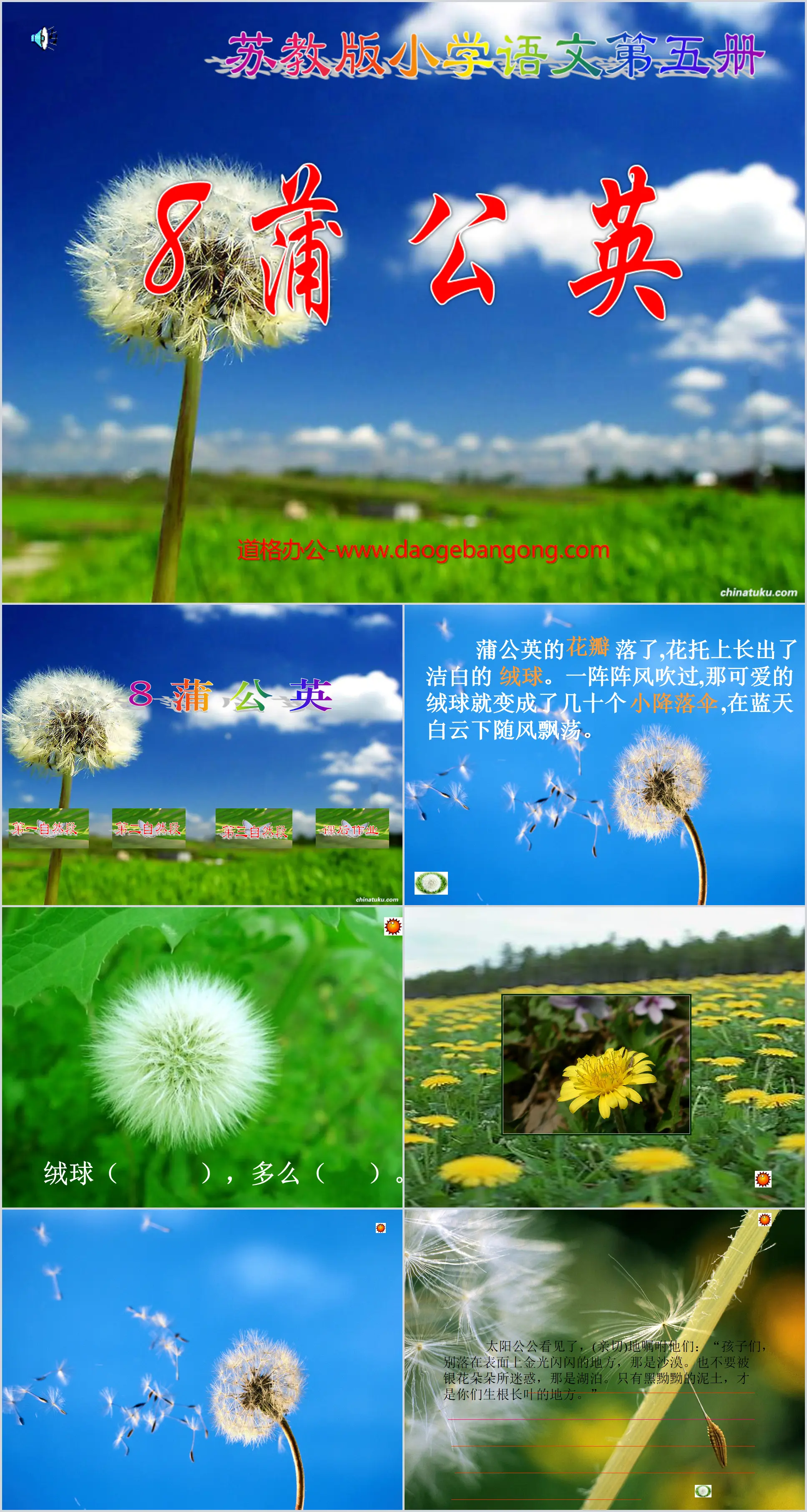 "Dandelion" PPT courseware