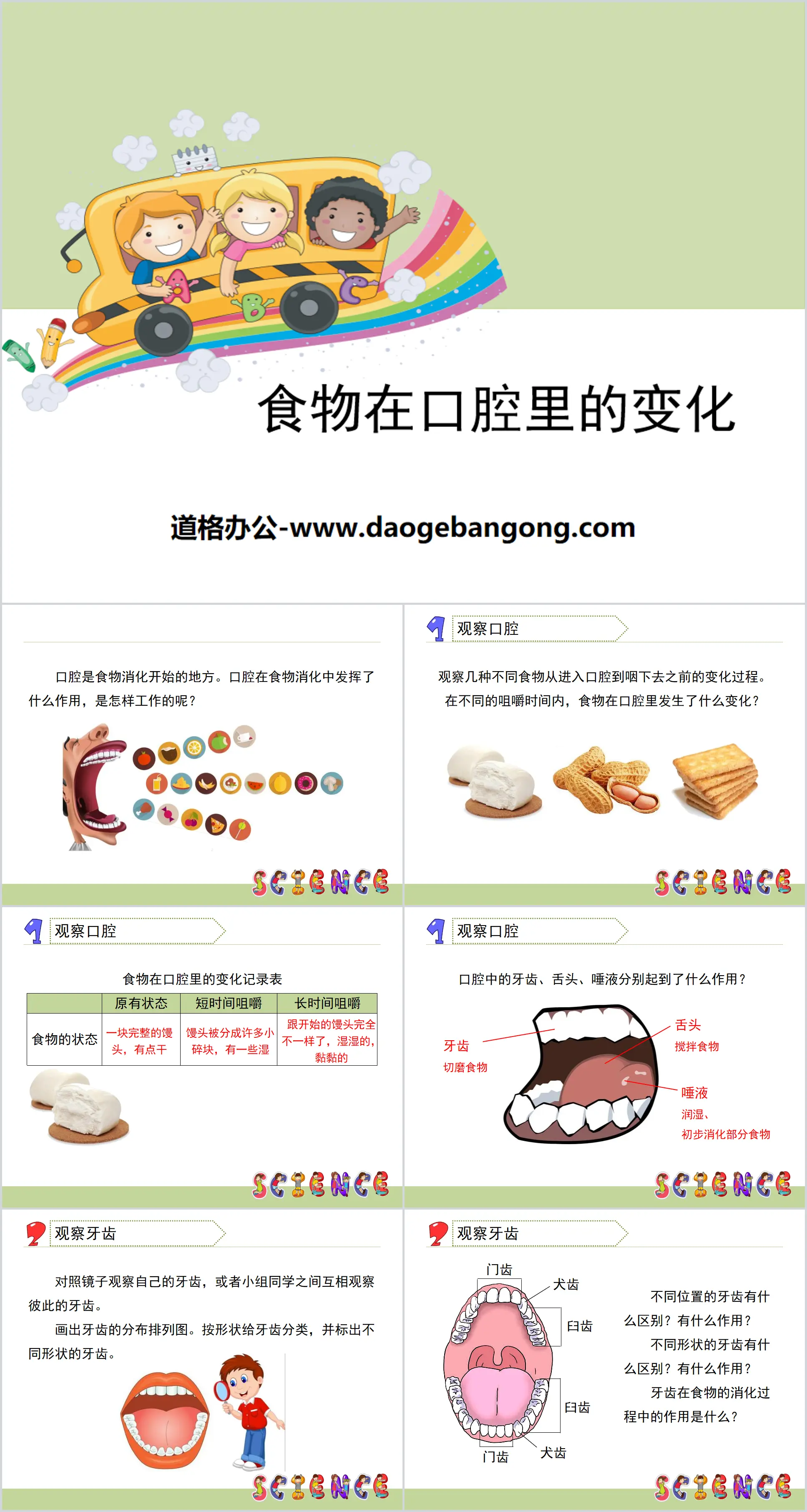 "Changes of Food in the Mouth" Our Body PPT