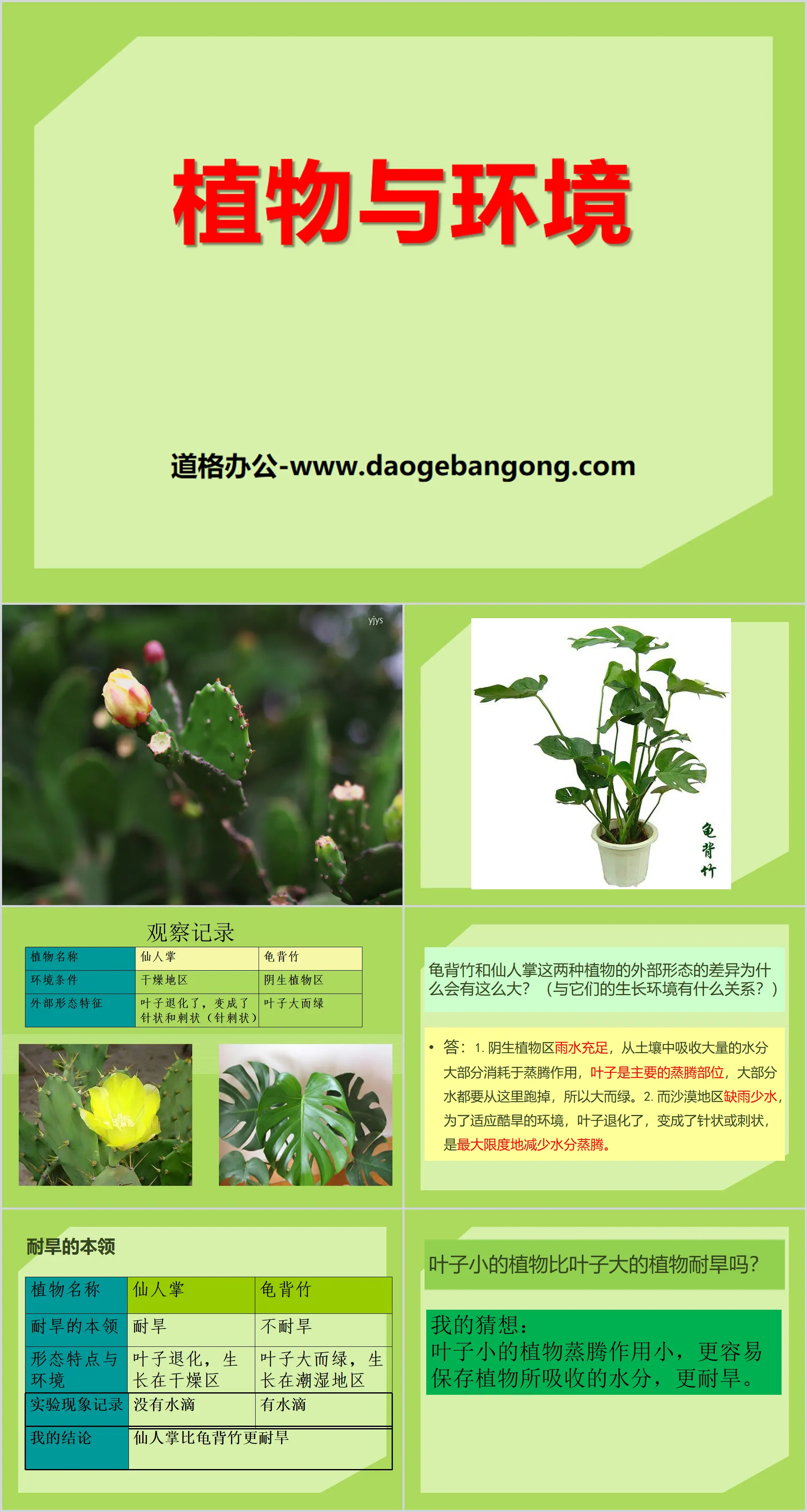 《植物与环境》生物与环境PPT课件
