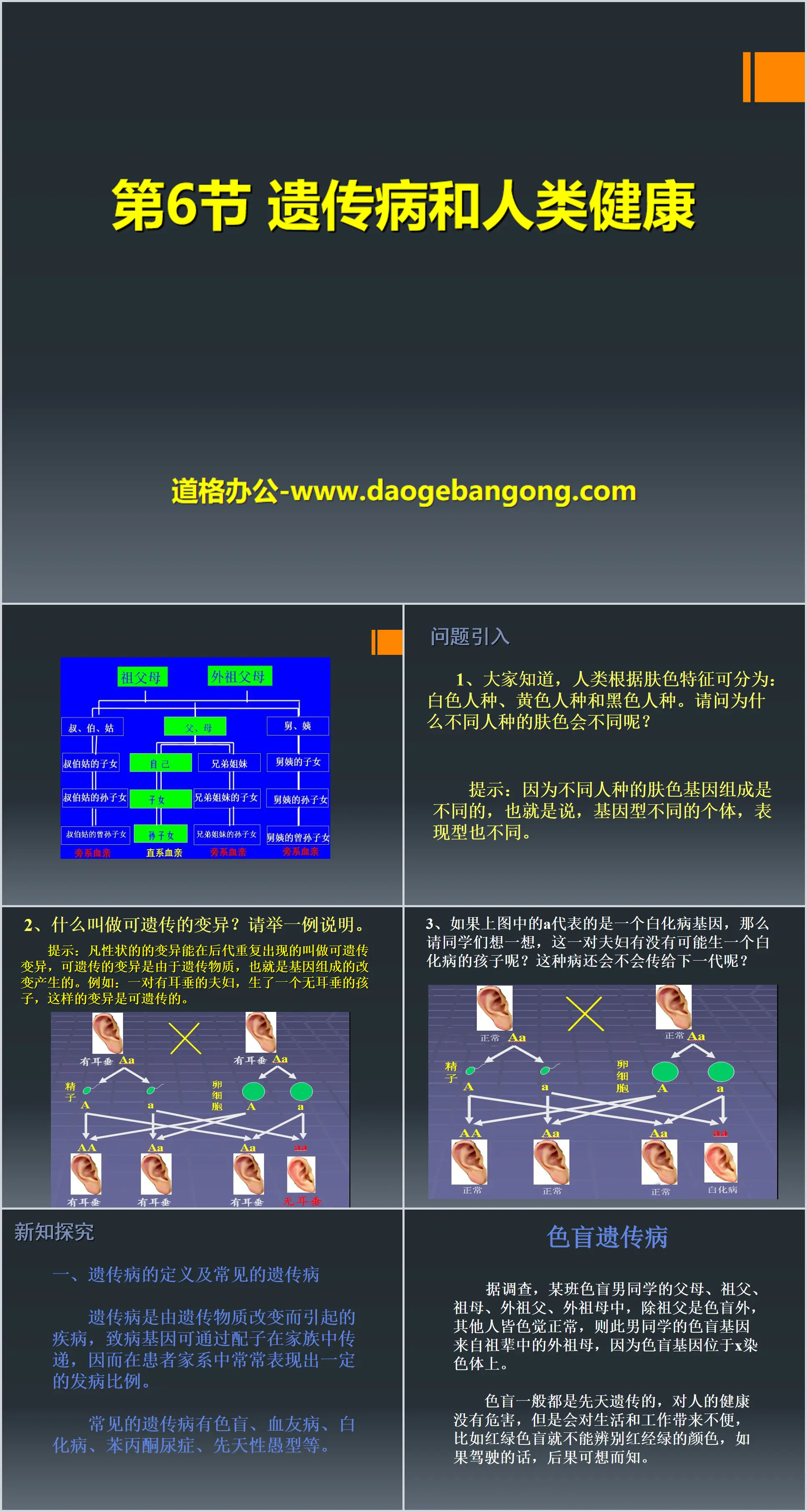 《遗传病和人类健康》PPT课件